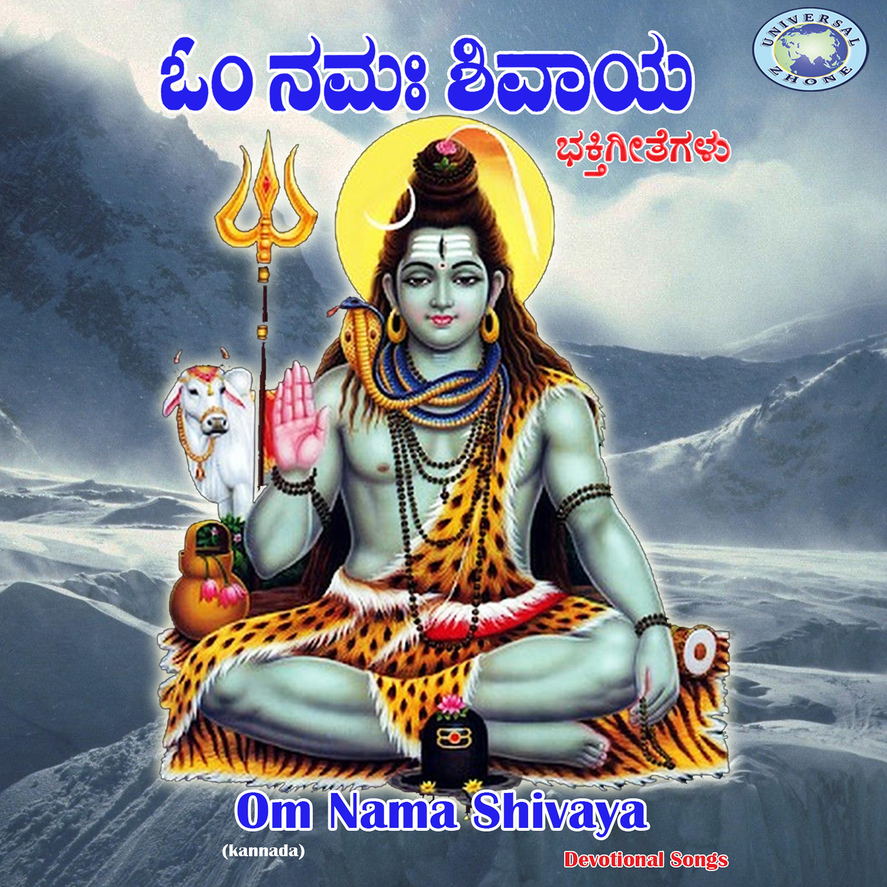 Постер альбома Om Nama Shivaya