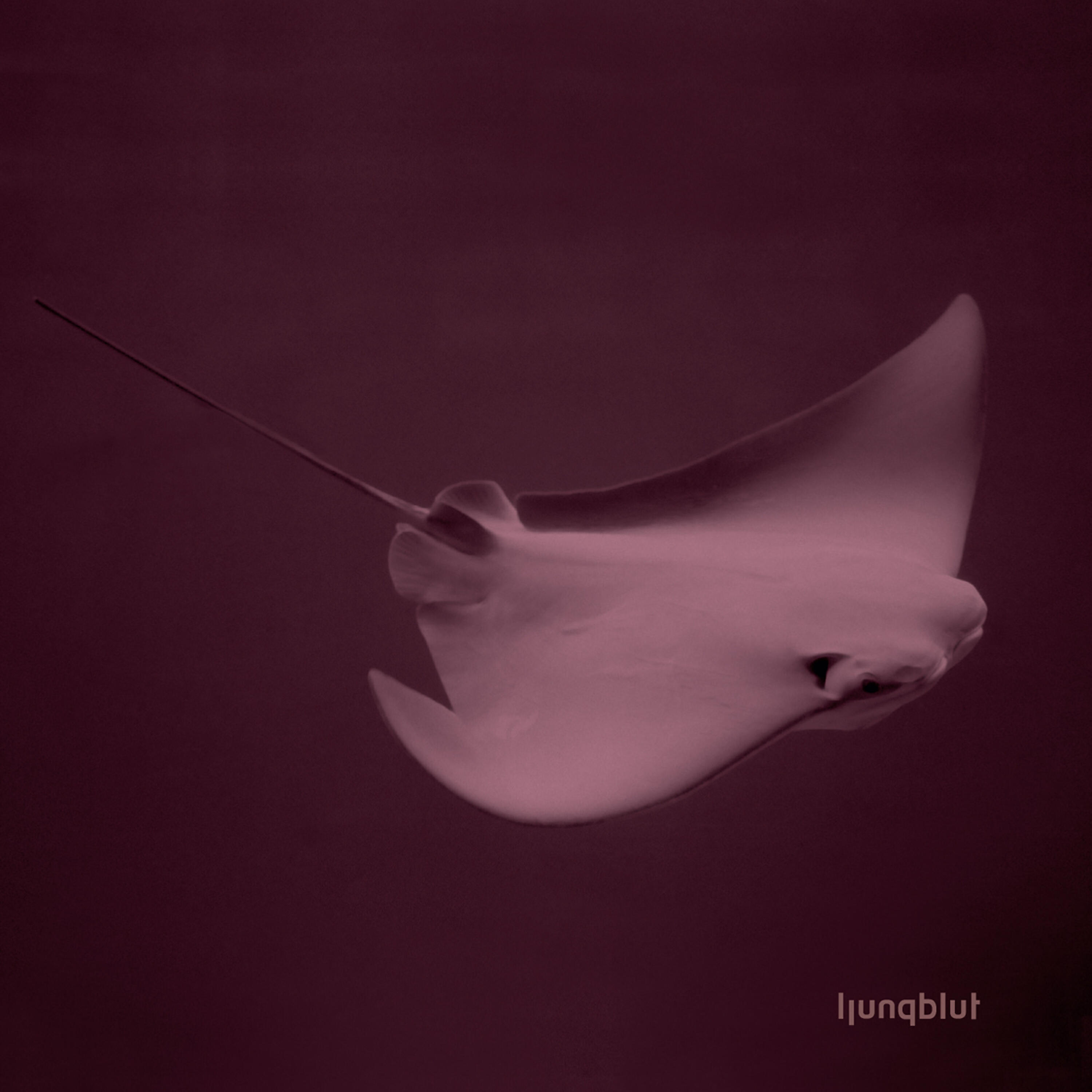 Ljungblut - The Emblem
