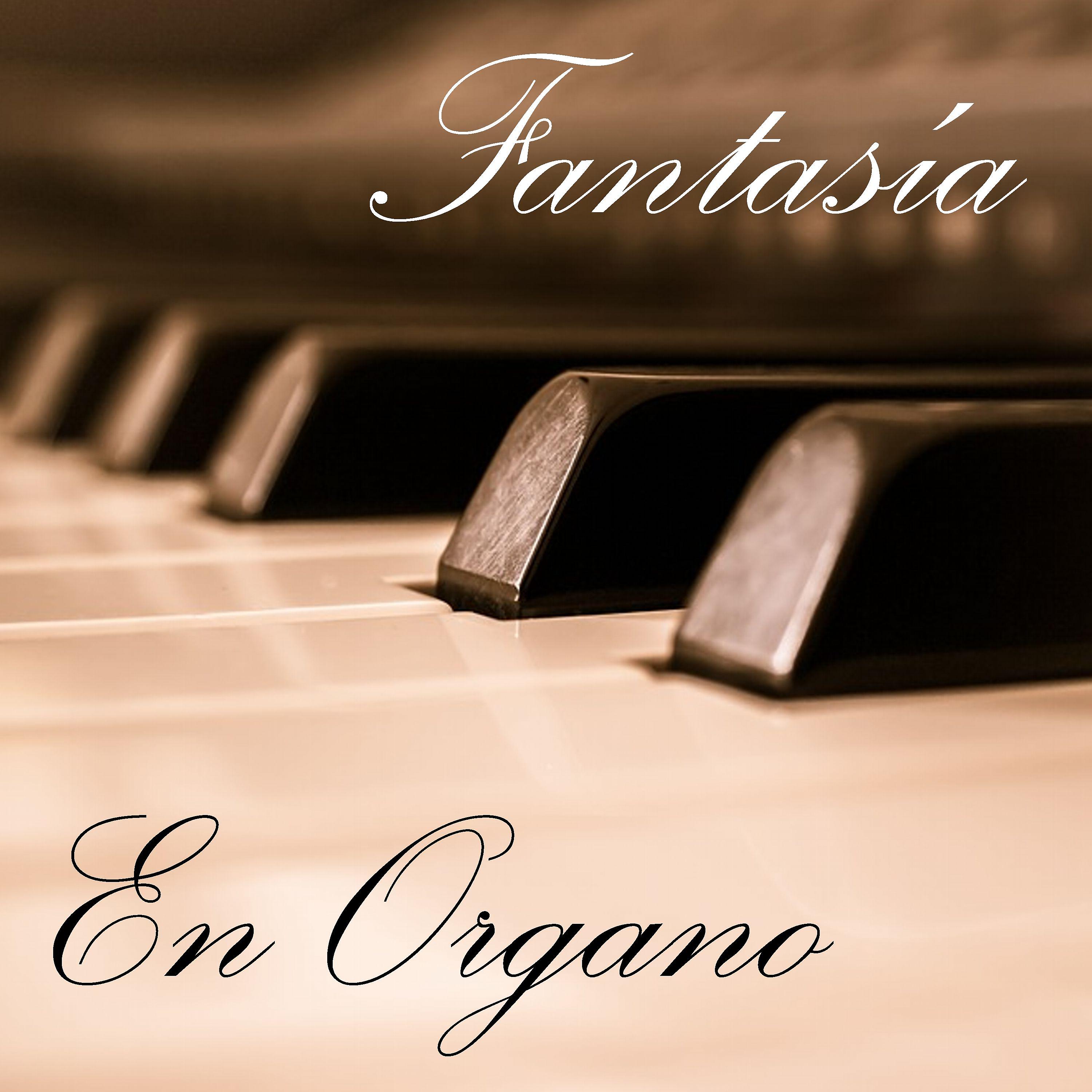 Постер альбома Fantasía en Organo
