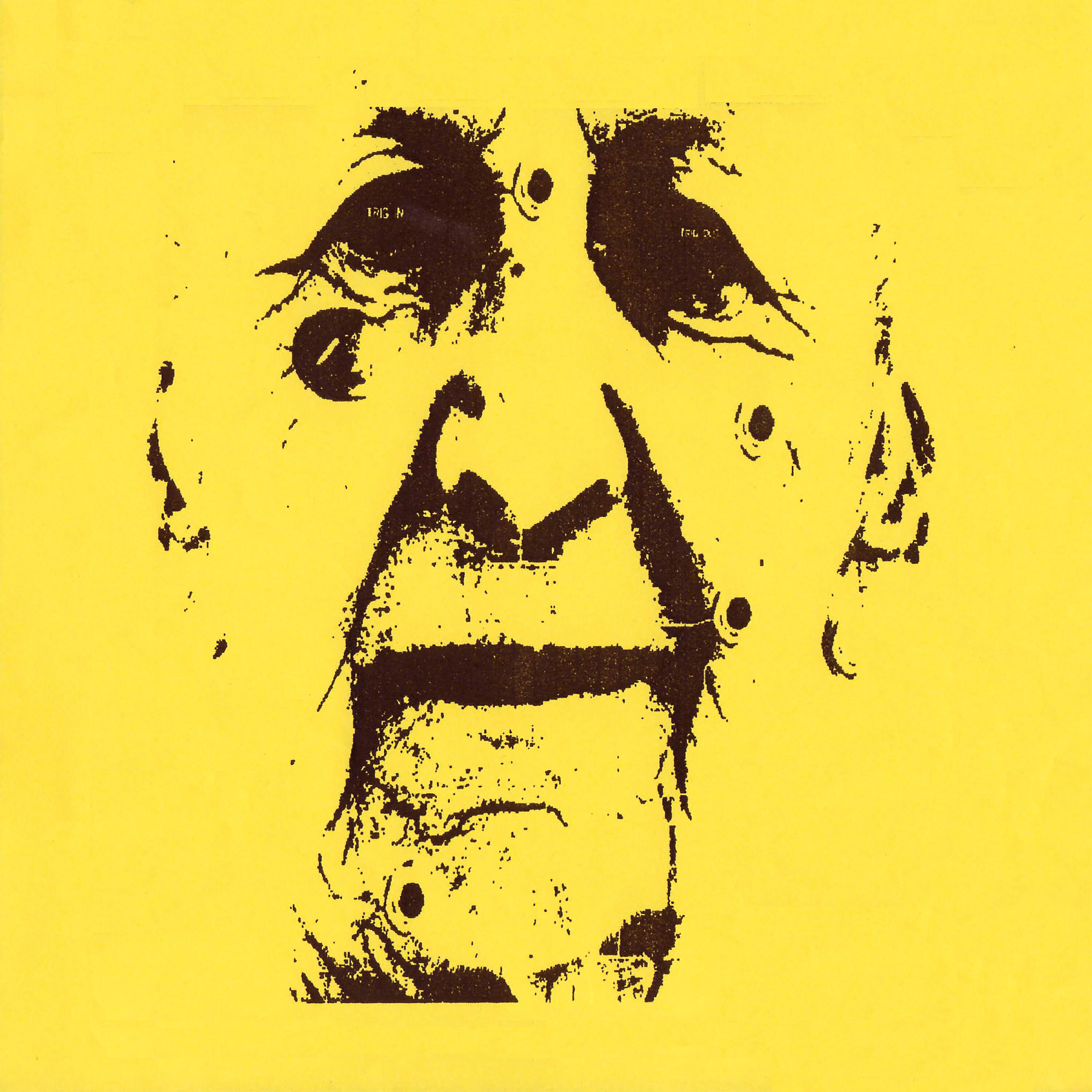 T.E.V.O. - Borge Mann