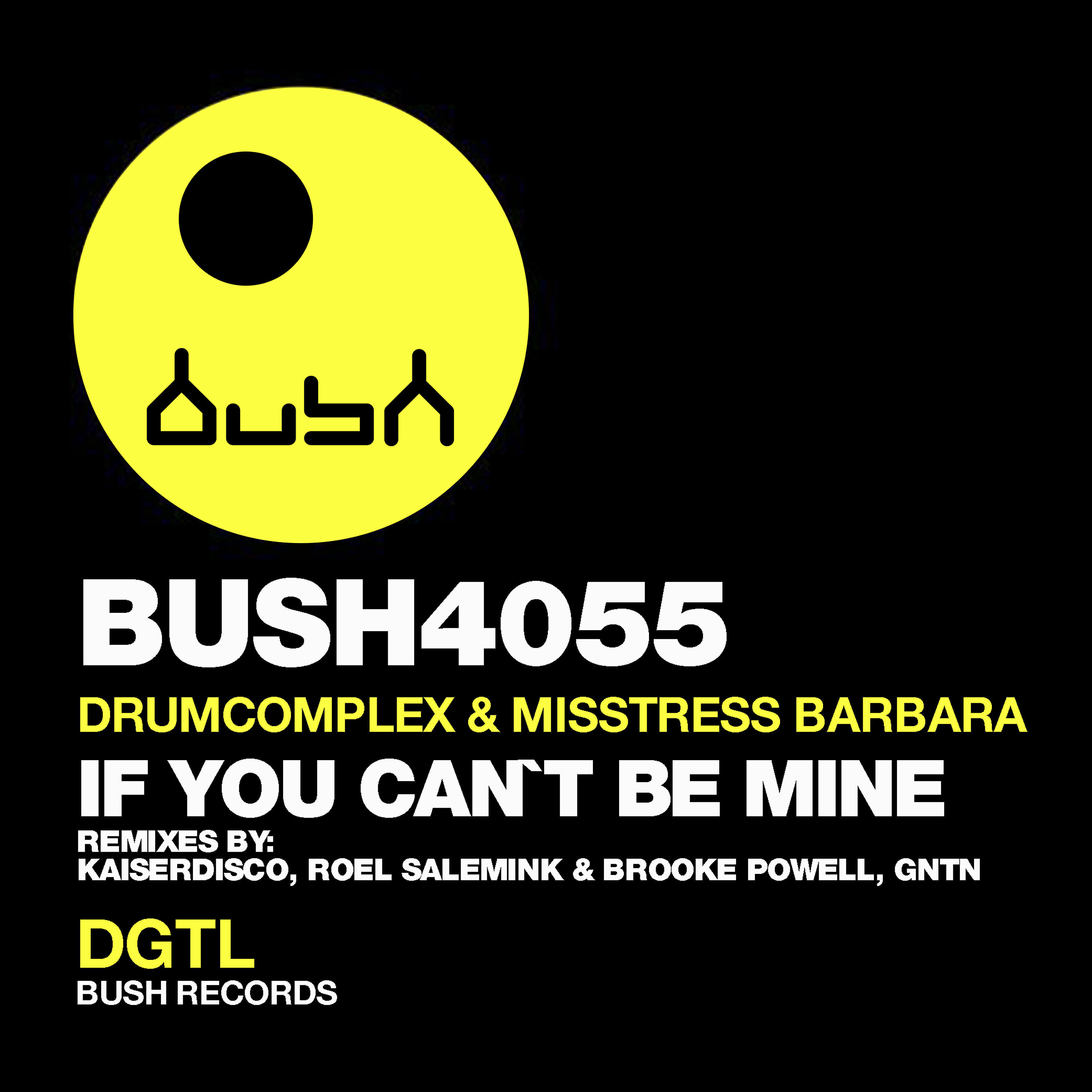 Drumcomplex - If You Can't Be Mine (Kaiserdisco Remix)