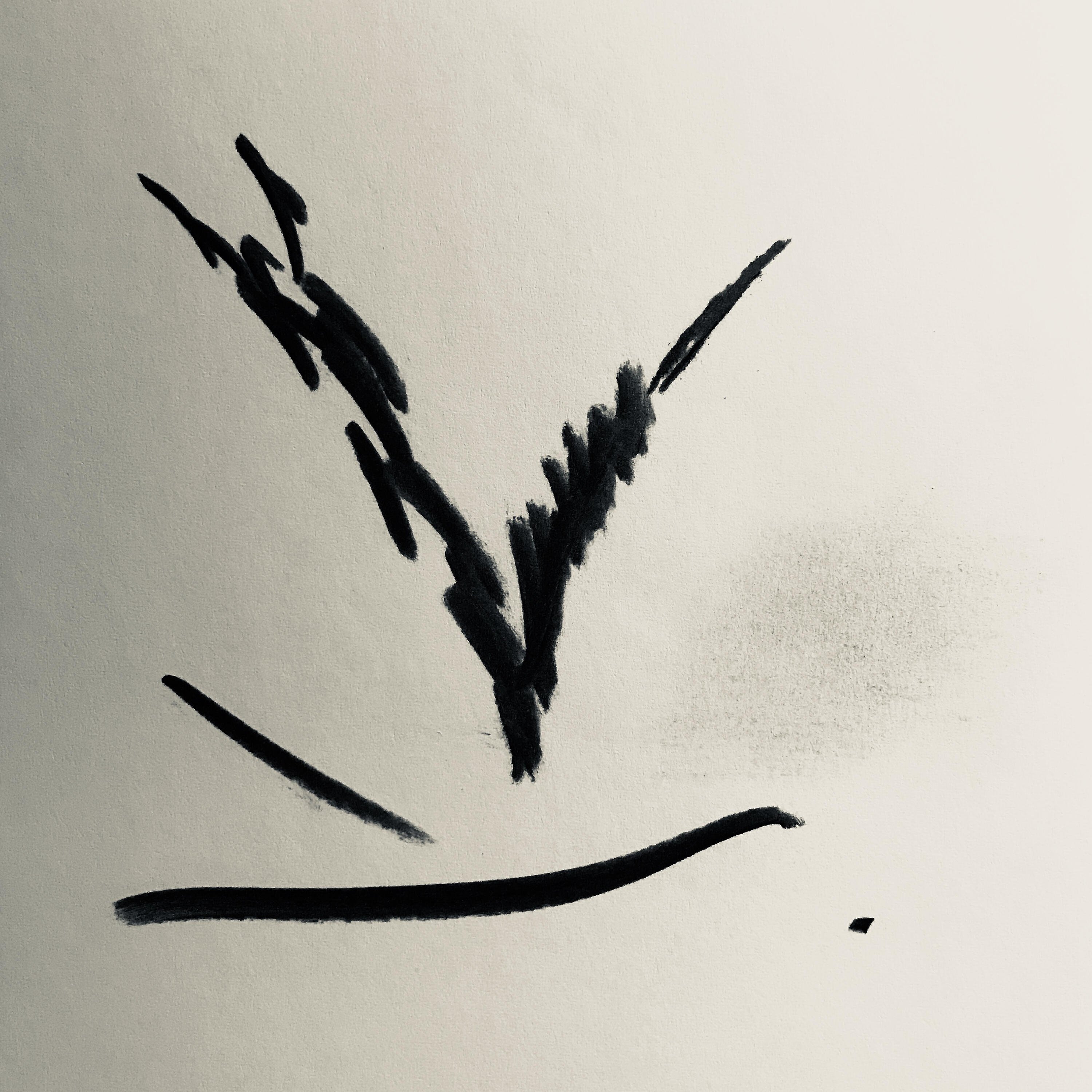 Marcus Bohm - V