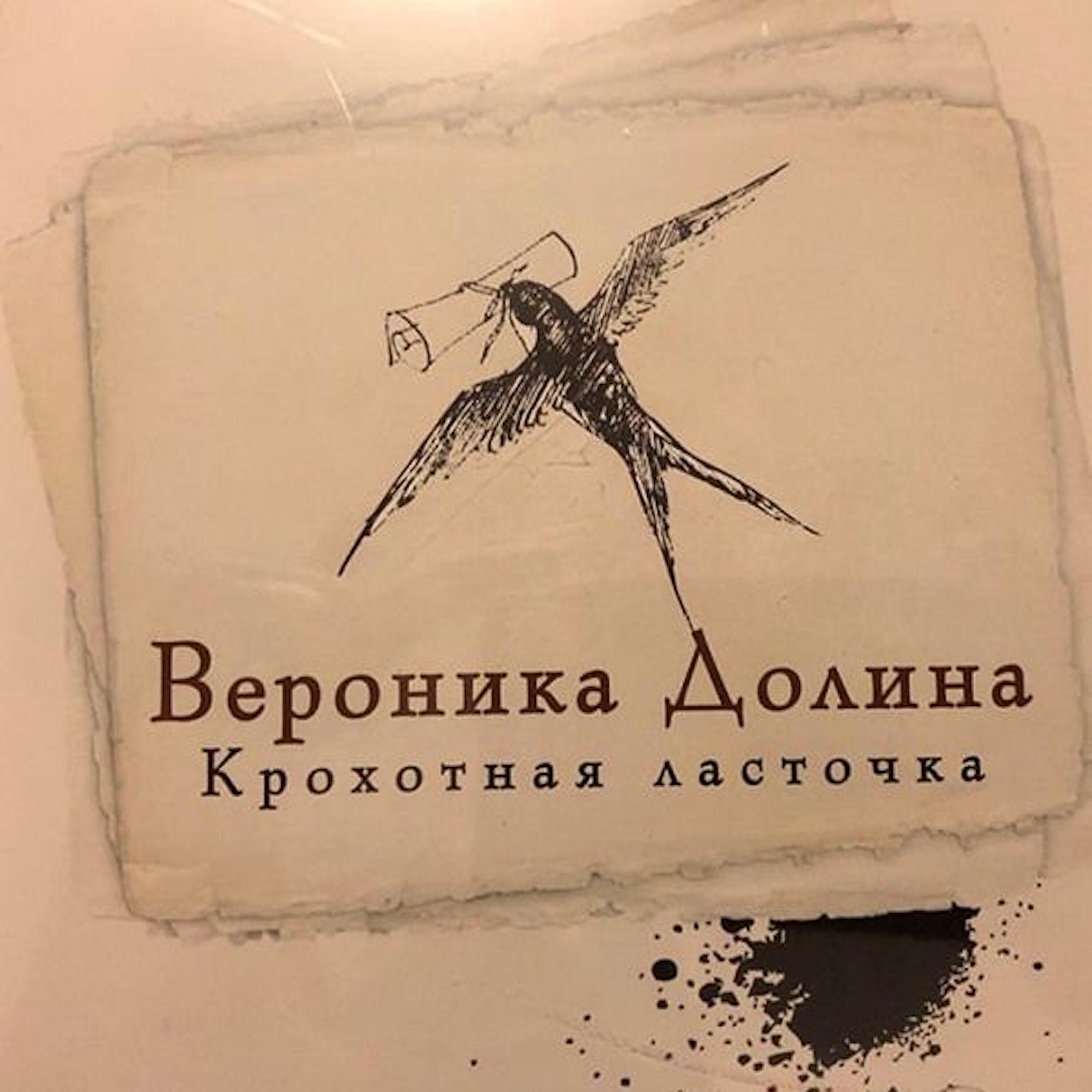 Вероника Долина - Пришла зима