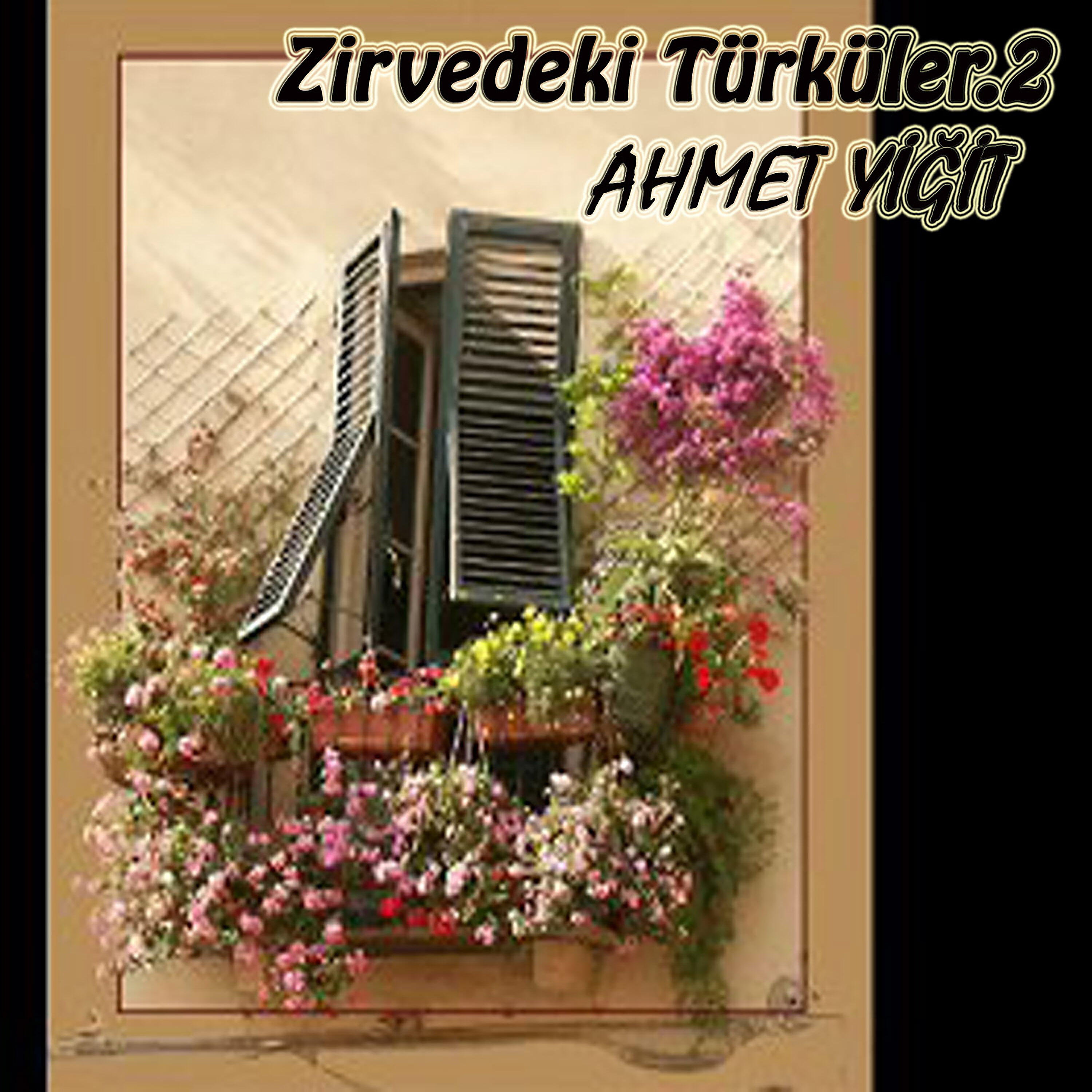 Ahmet Yiğit - Değmen Benim Gamlı Yaslı Gönlüme