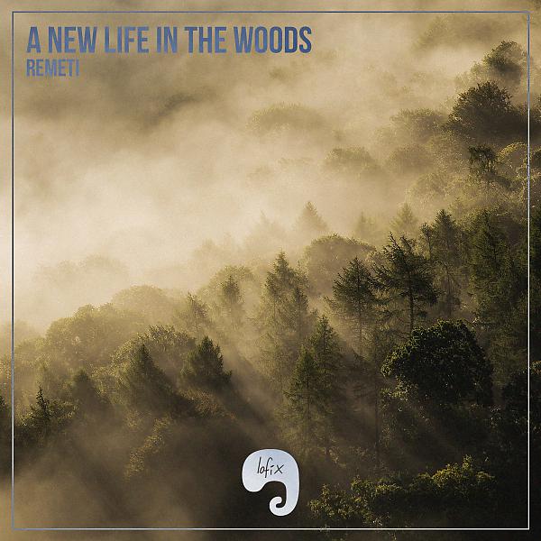 Постер альбома A New Life In The Woods