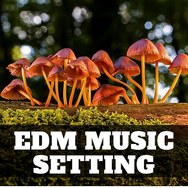 Постер альбома Edm Music Setting