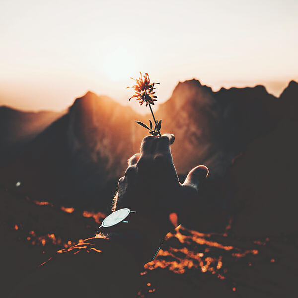 Anjuna Pachha - Going Through Life