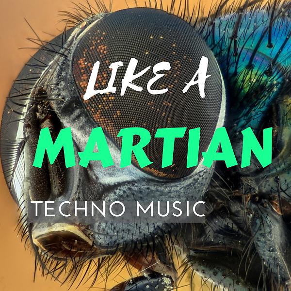 Постер альбома Like A Martian Techno Music