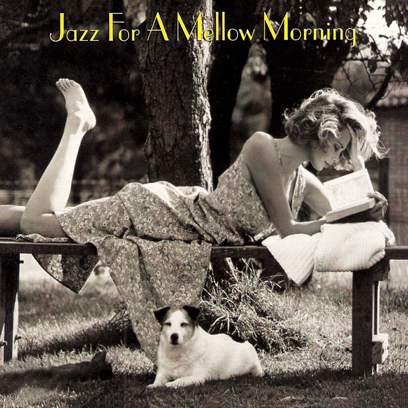 Buster Williams - My Funny Valentine
