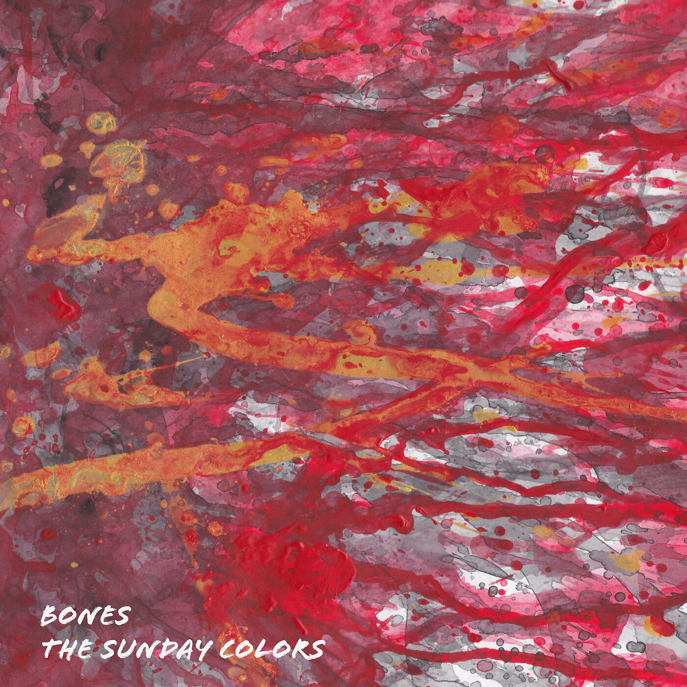 the Sunday Colors - Lost Control