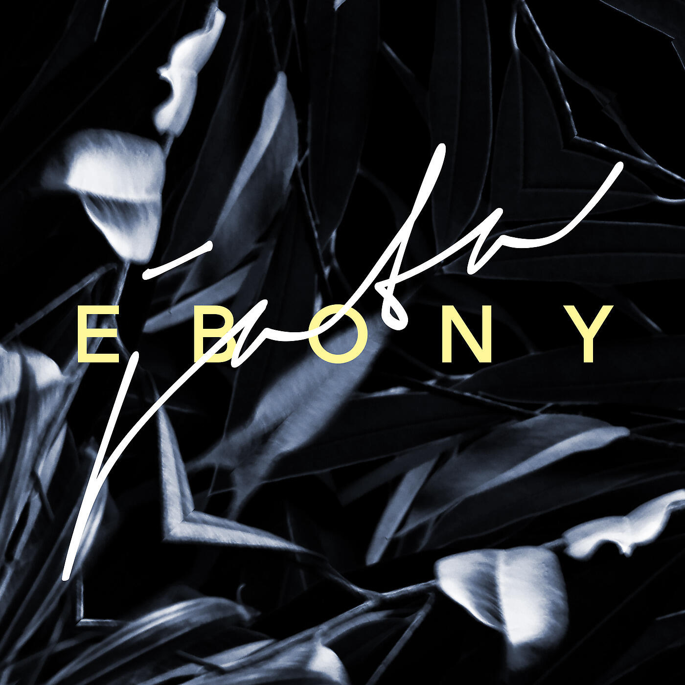 JATA - Ebony