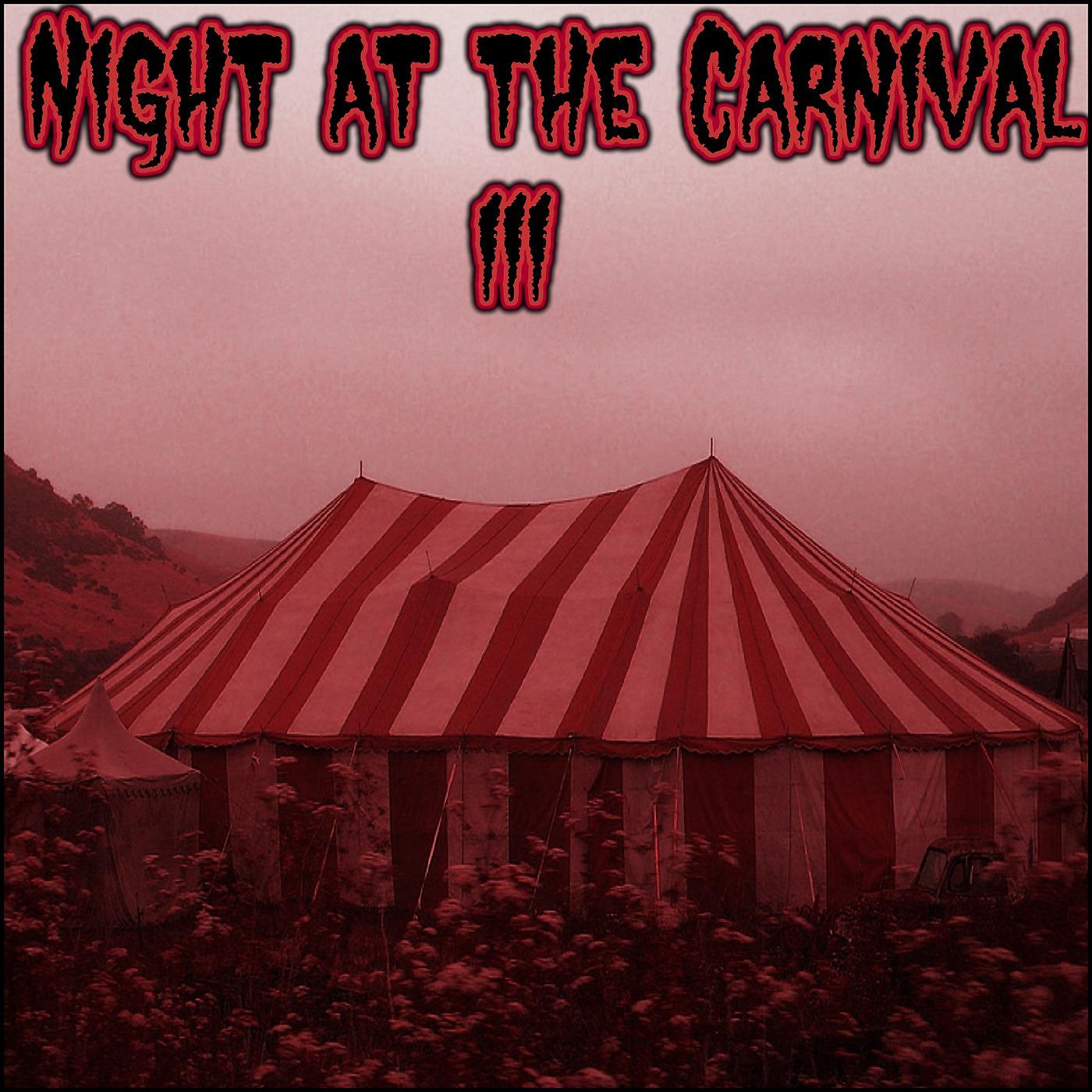 Постер альбома Night at the Carnival III