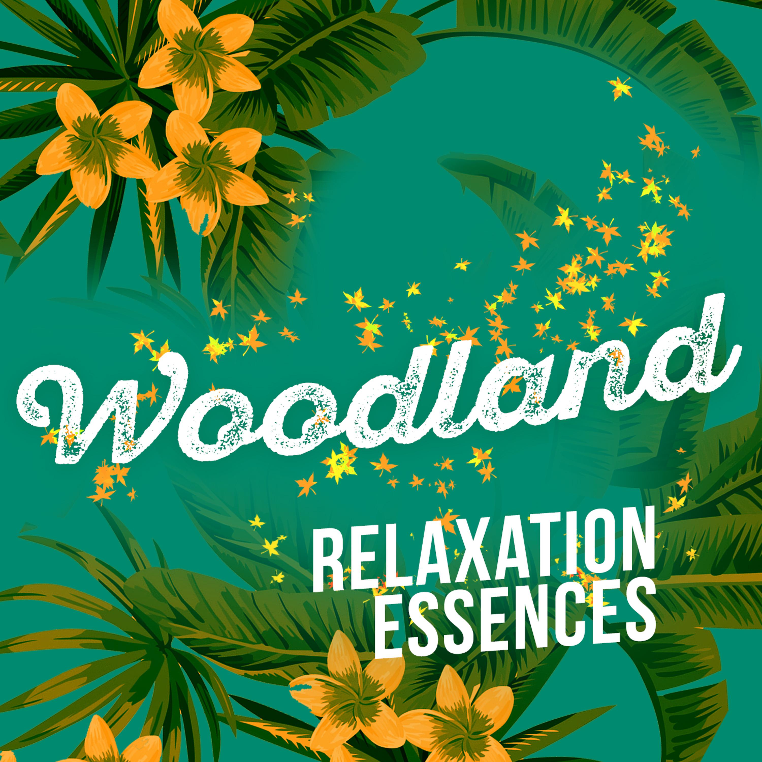 Постер альбома Woodland Relaxation Essences