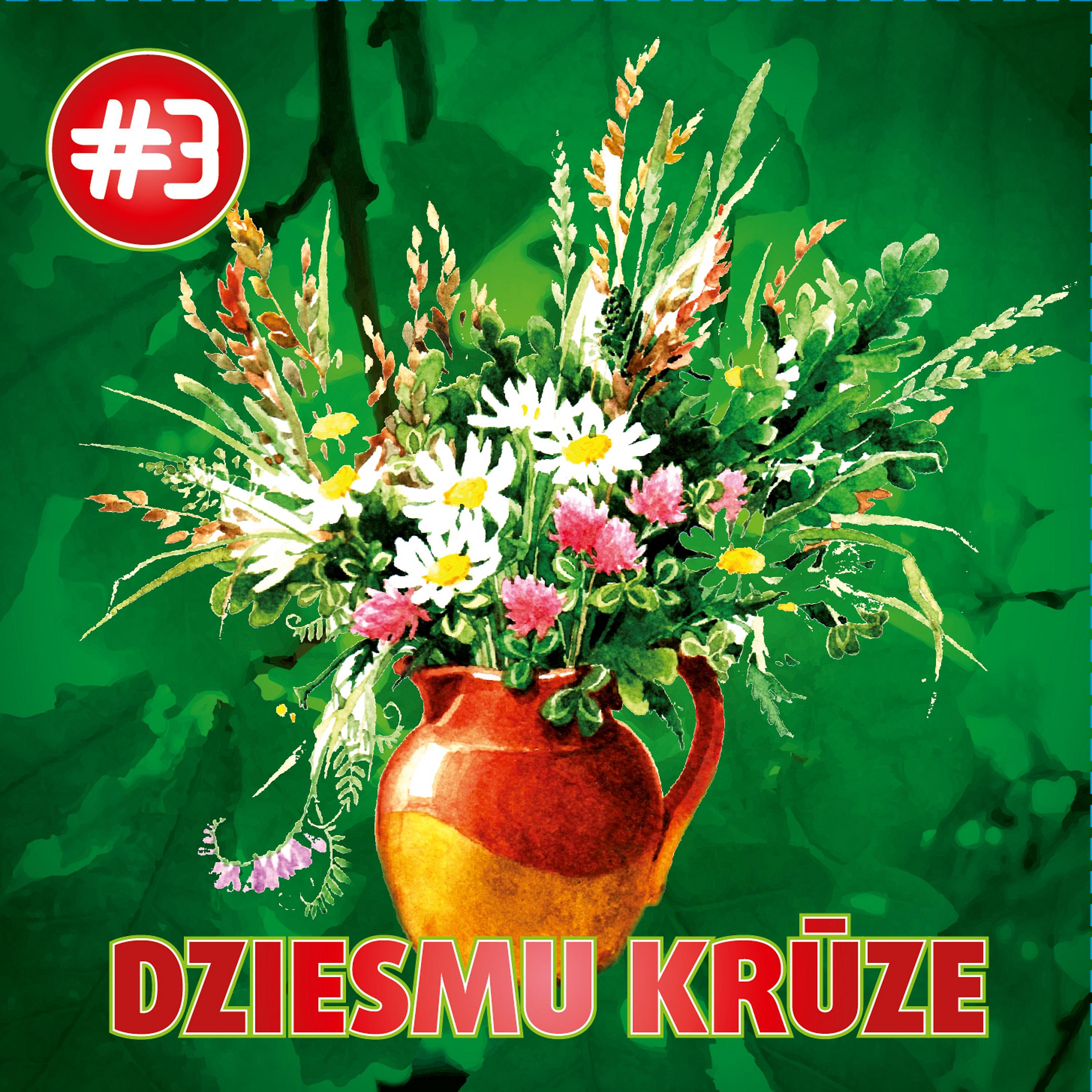 Постер альбома Dziesmu Krūze #3