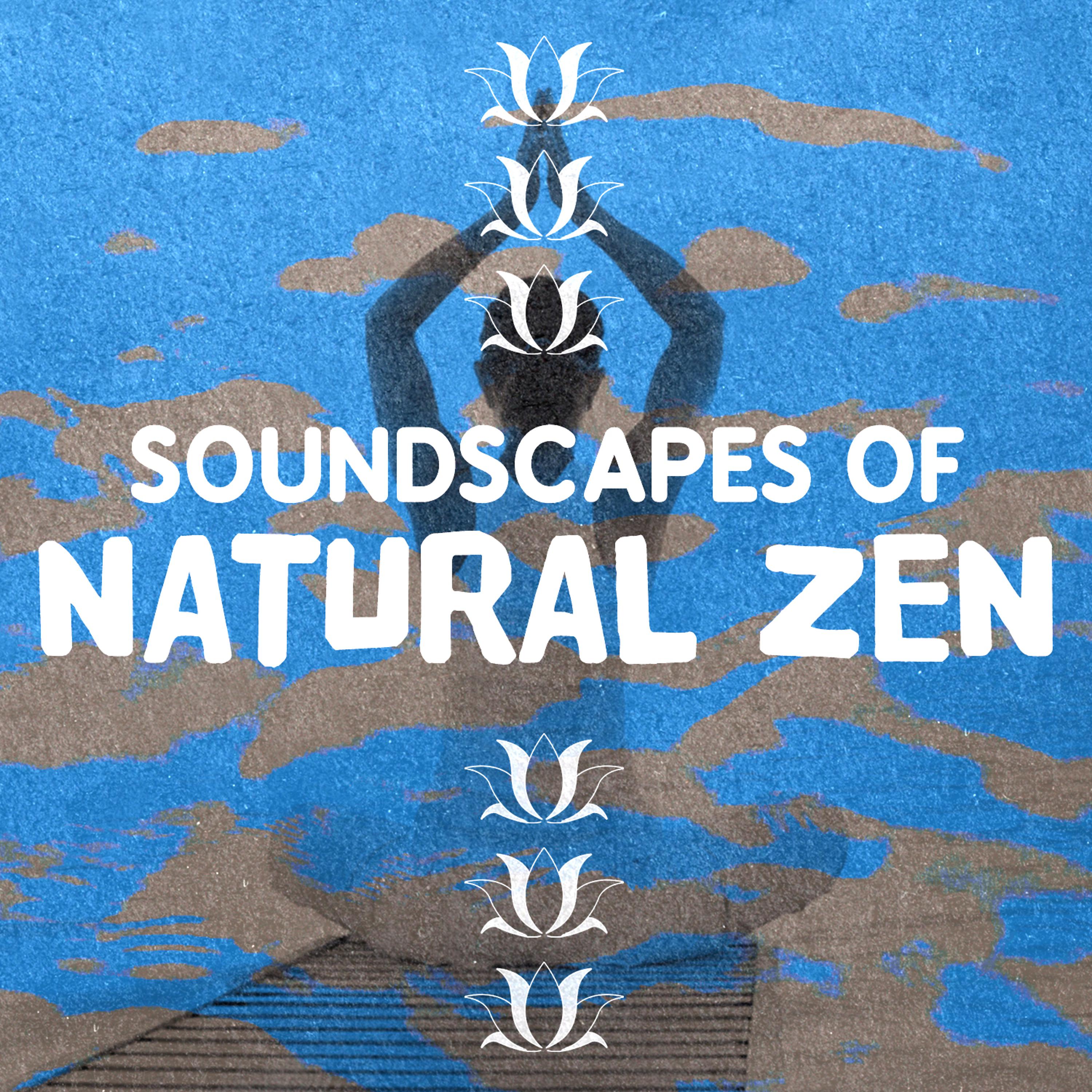 Постер альбома Soundscapes of Natural Zen