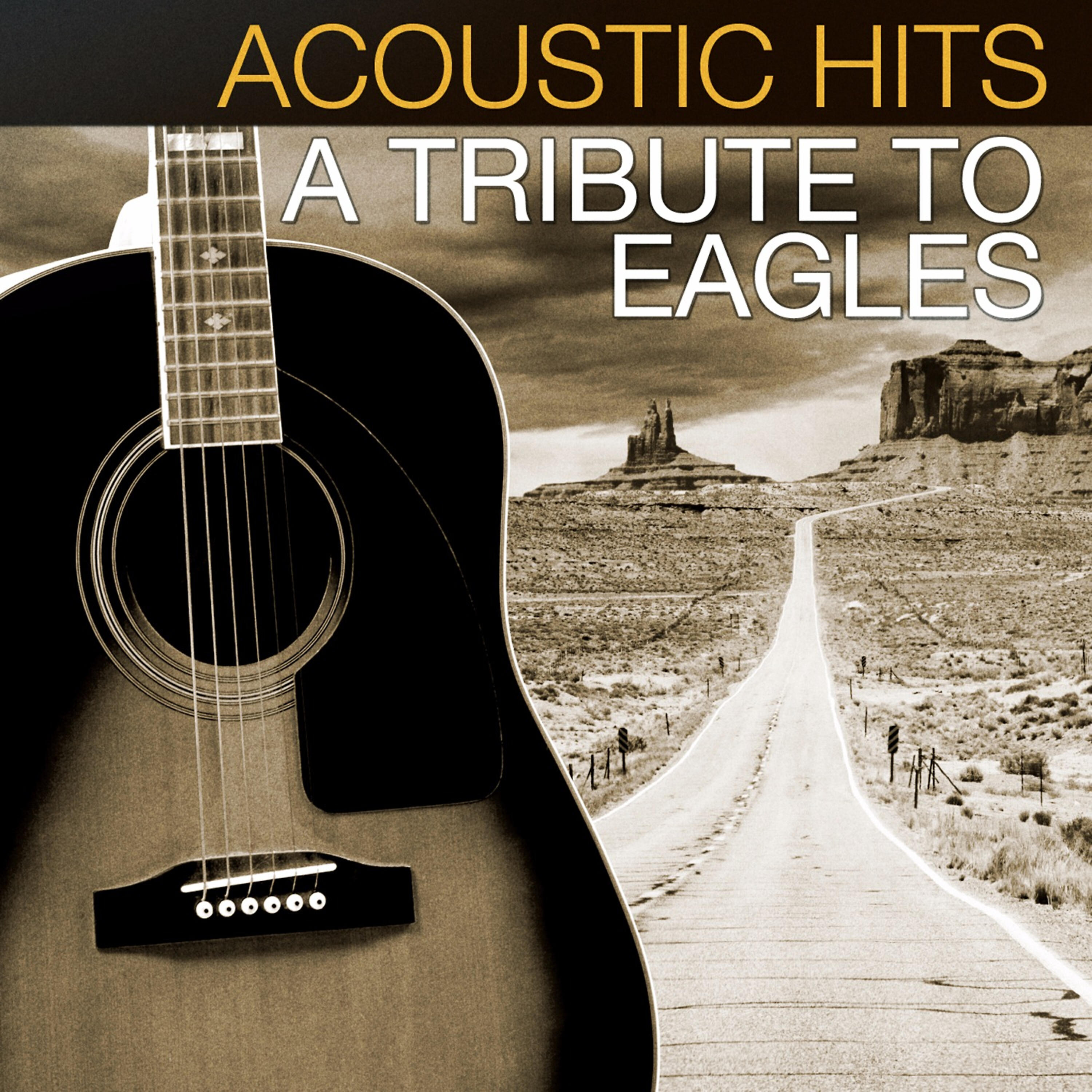 Acoustic Hits - Desperado