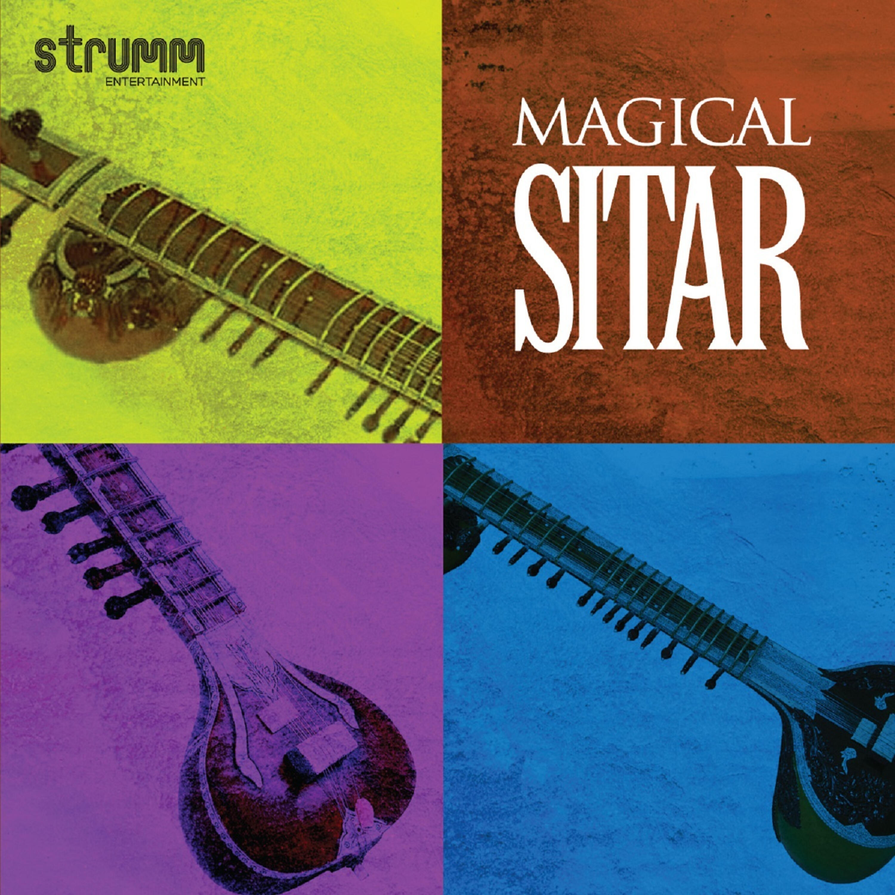 Purbayan Chatterjee - Hum Bewafa Hargiz Na Thay (Unwind Instrumental)