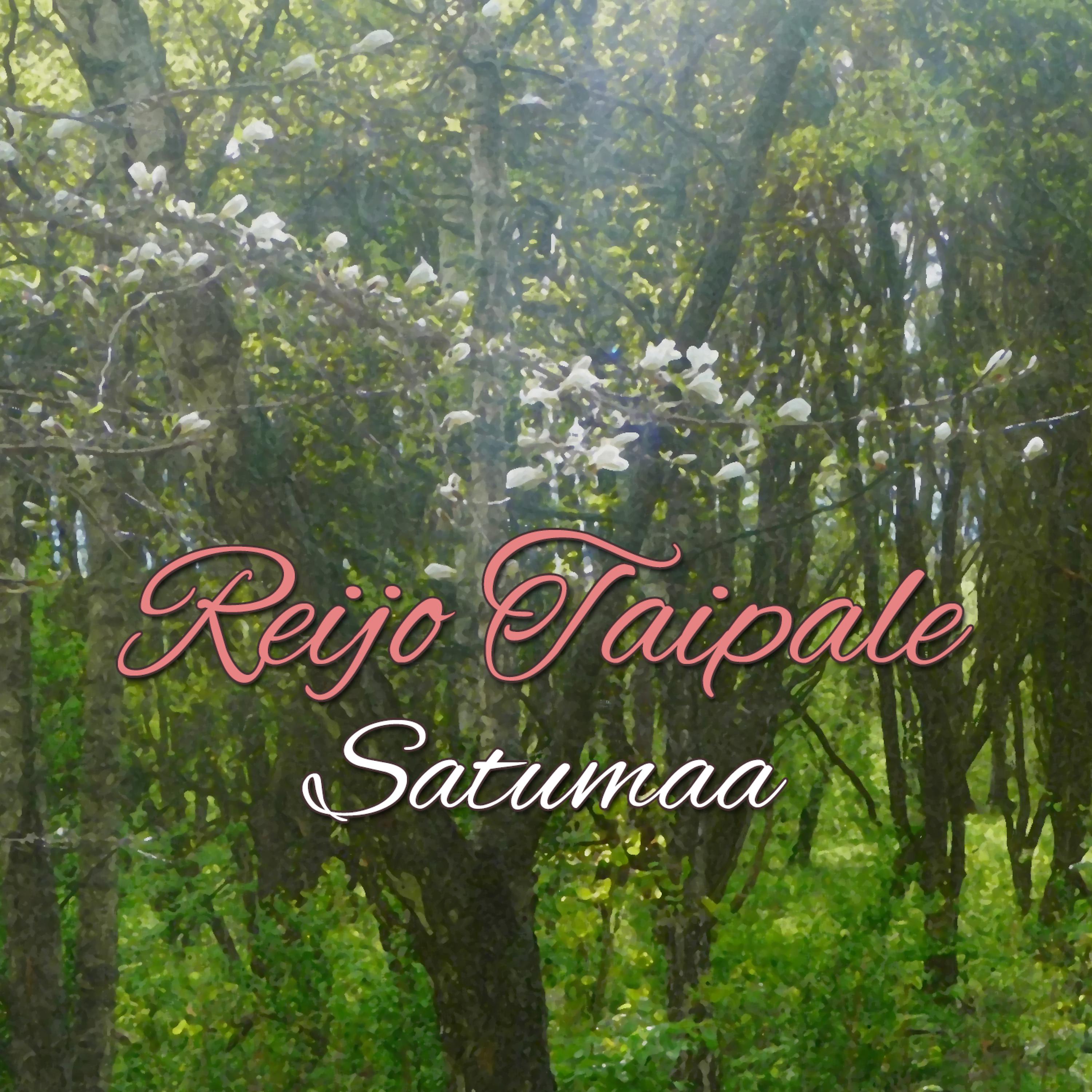 Постер альбома Satumaa