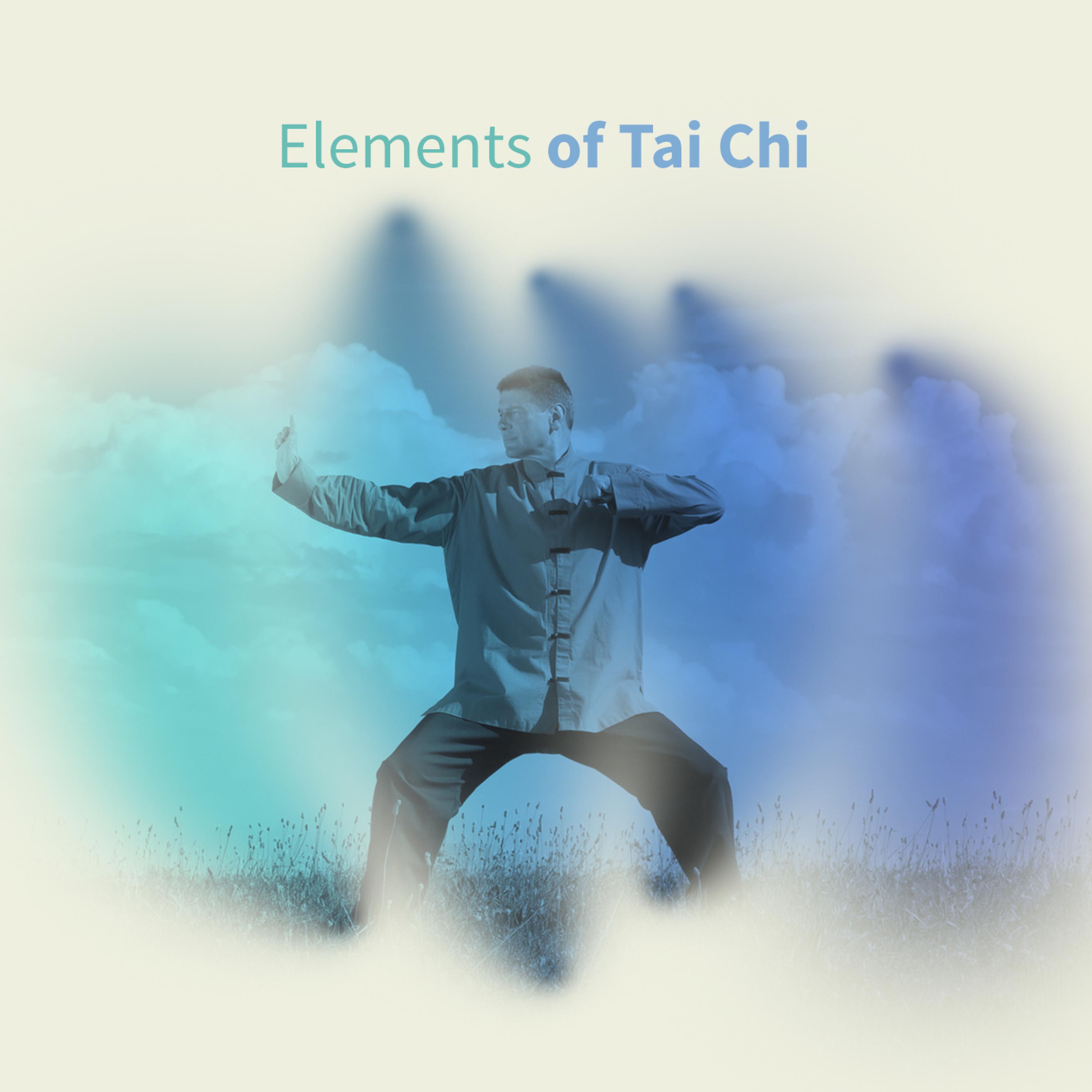 Постер альбома Elements of Tai Chi