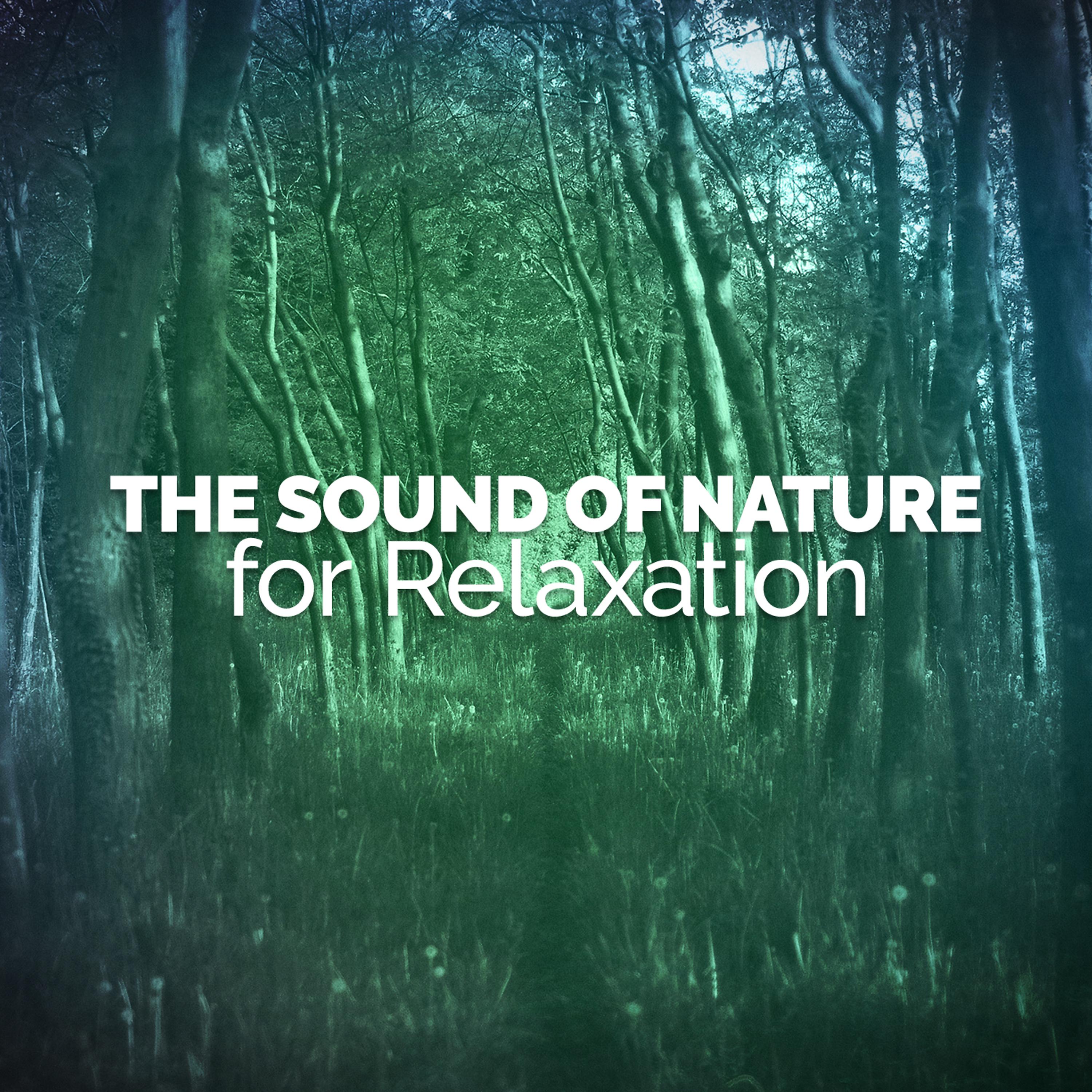Постер альбома The Sound of Nature for Relaxation