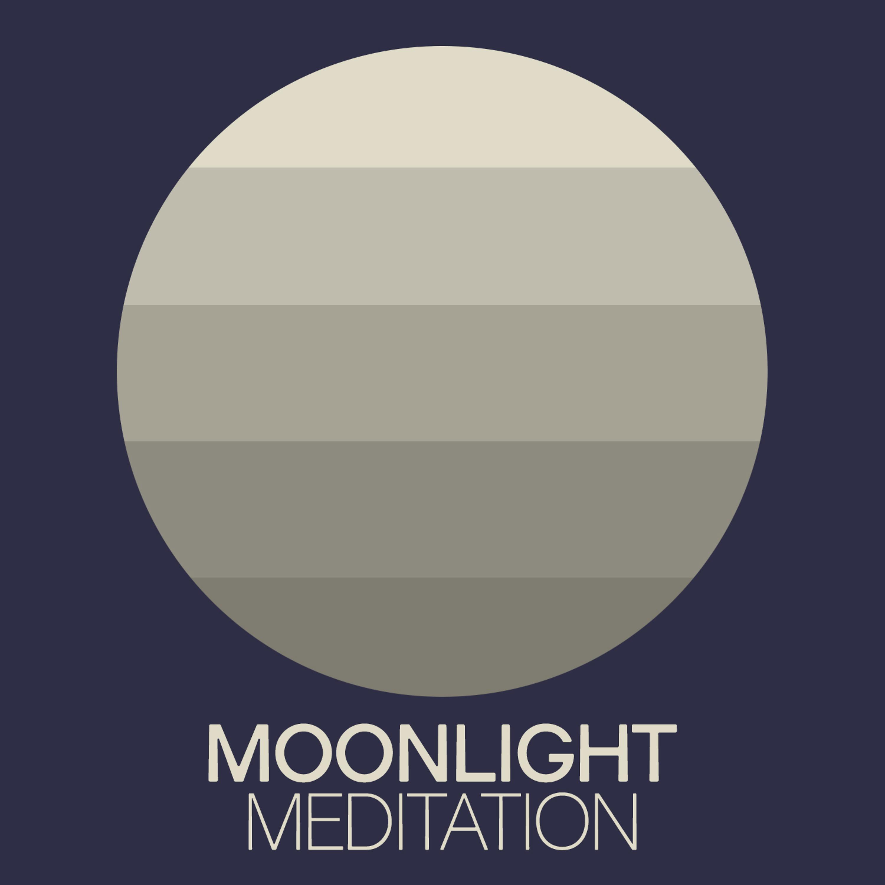 Постер альбома Moonlight Meditation