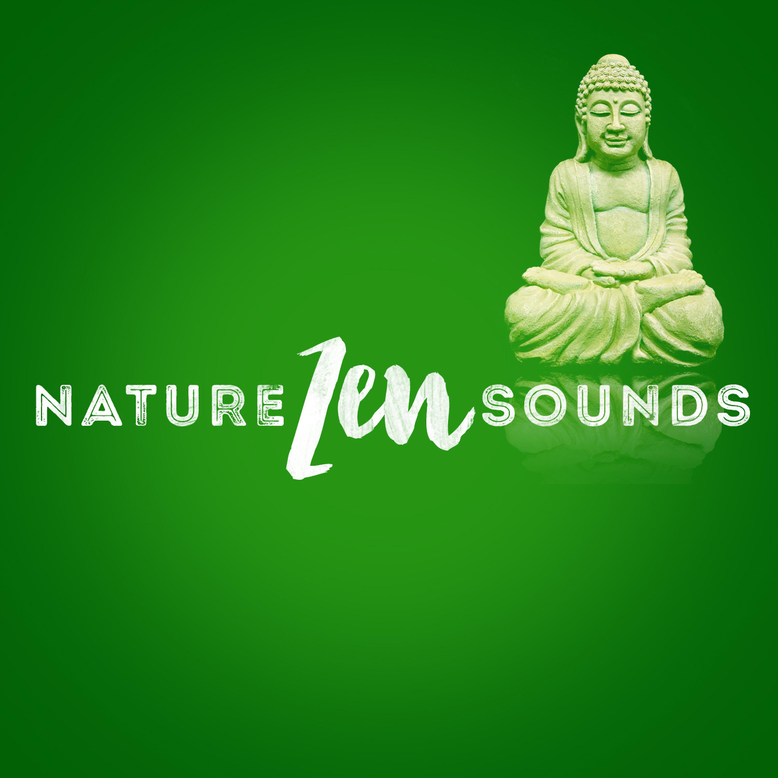 Постер альбома Nature Zen Sounds