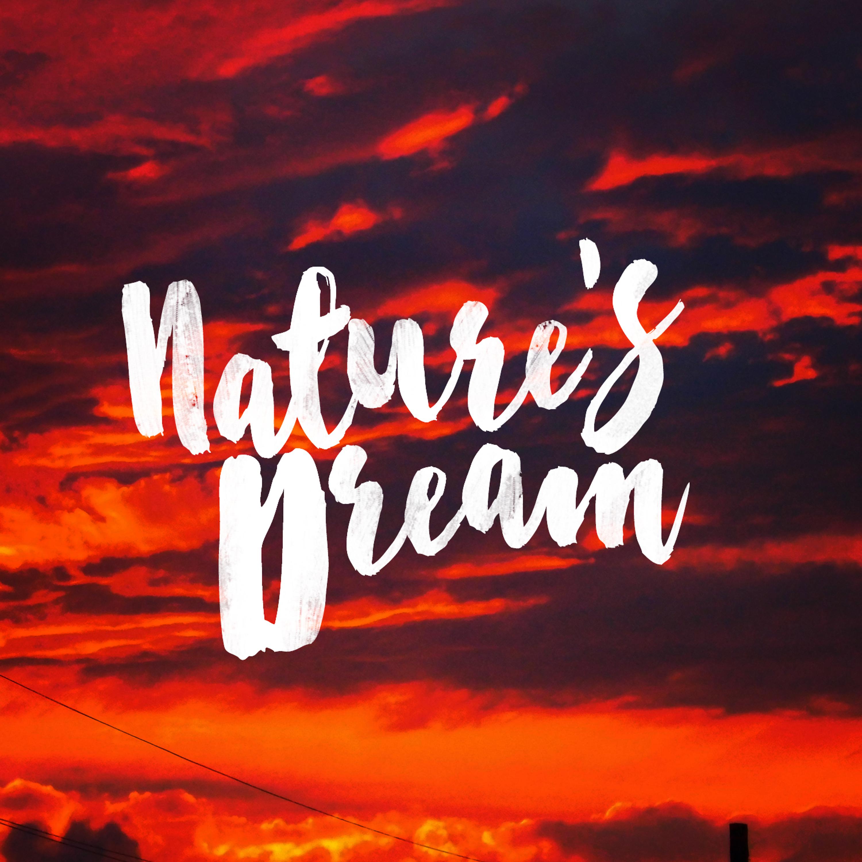 Постер альбома Nature's Dream