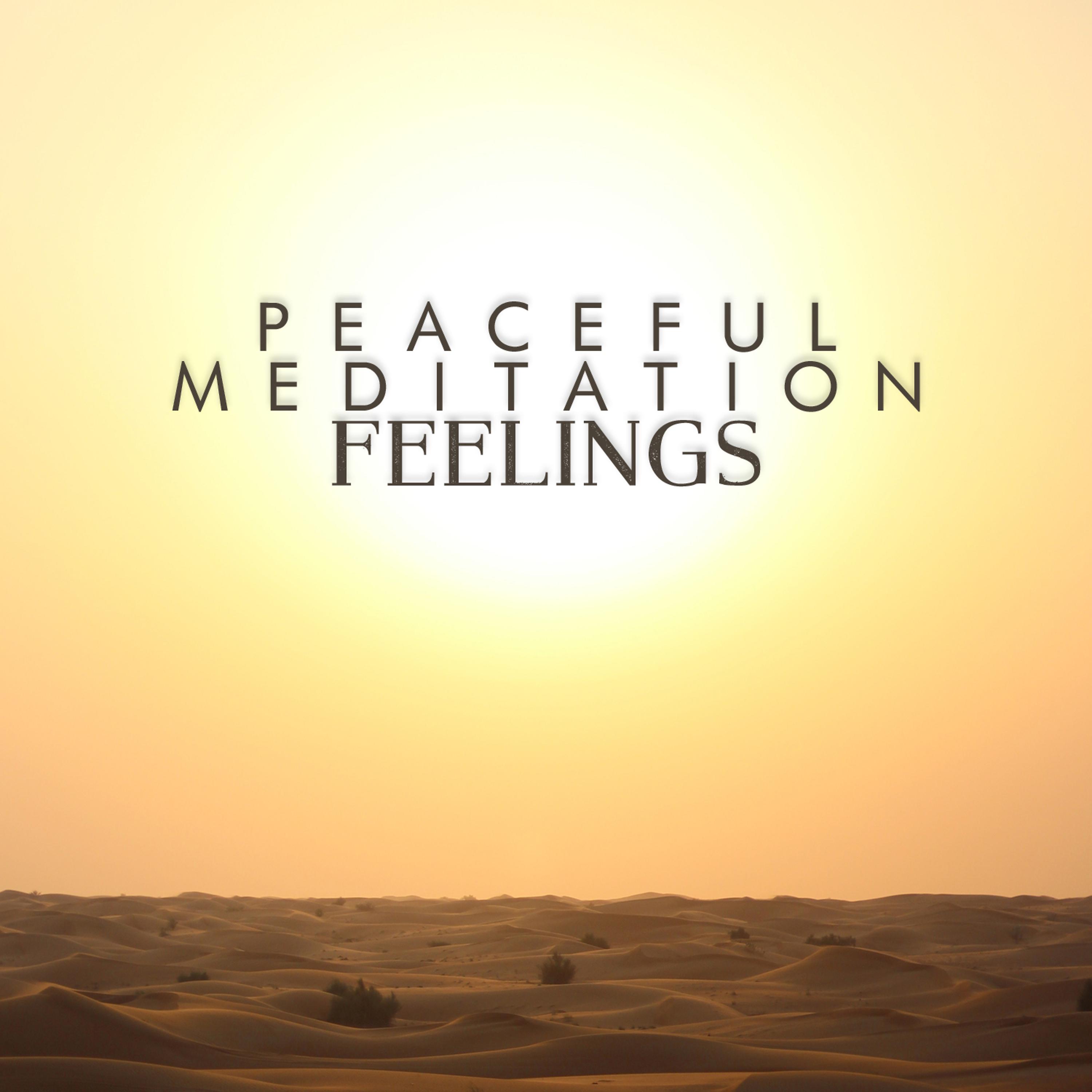 Постер альбома Peaceful Meditation Feelings