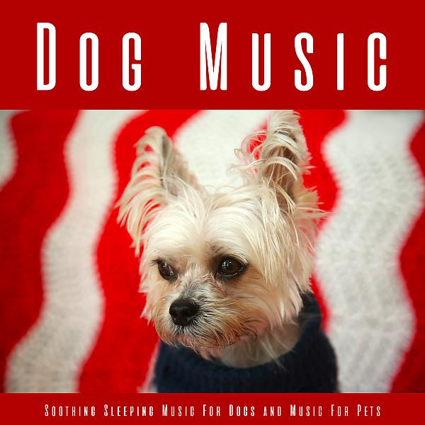 Постер альбома Dog Music: Soothing Sleeping Music For Dogs and Music For Pets