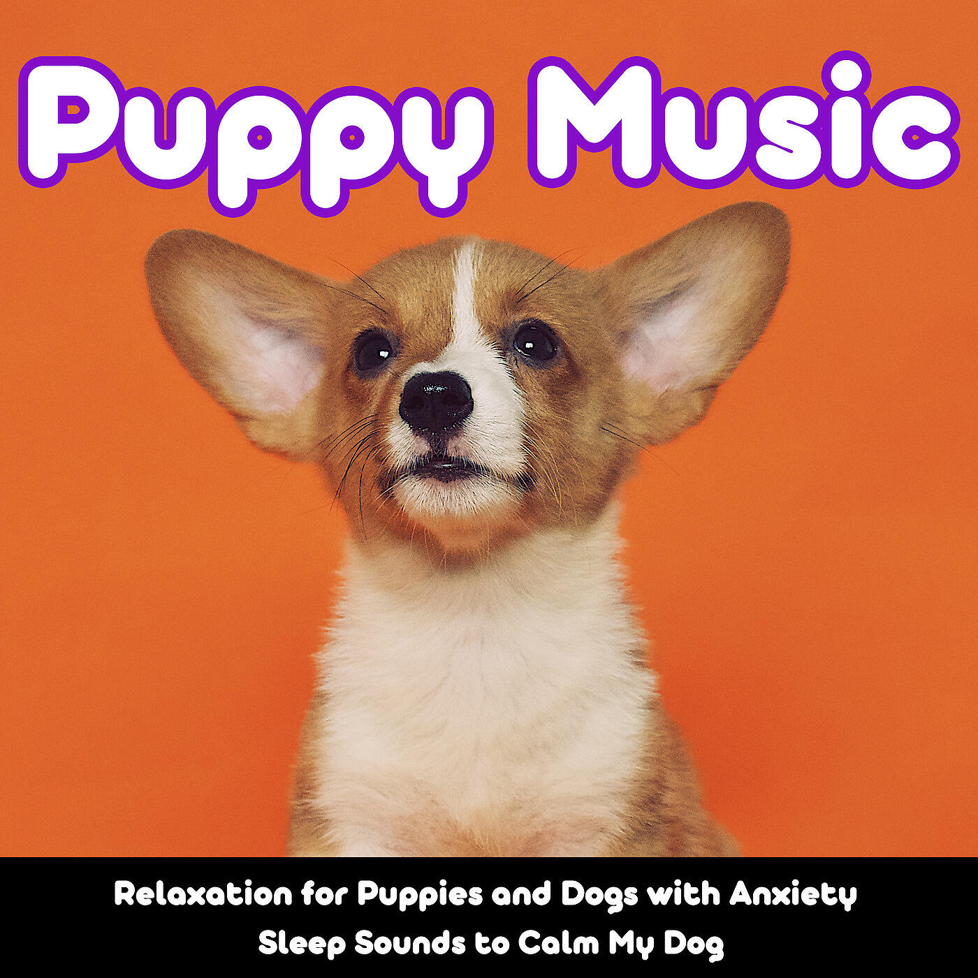 RelaxMyDog - Dog Music (Soothing Instrumental)