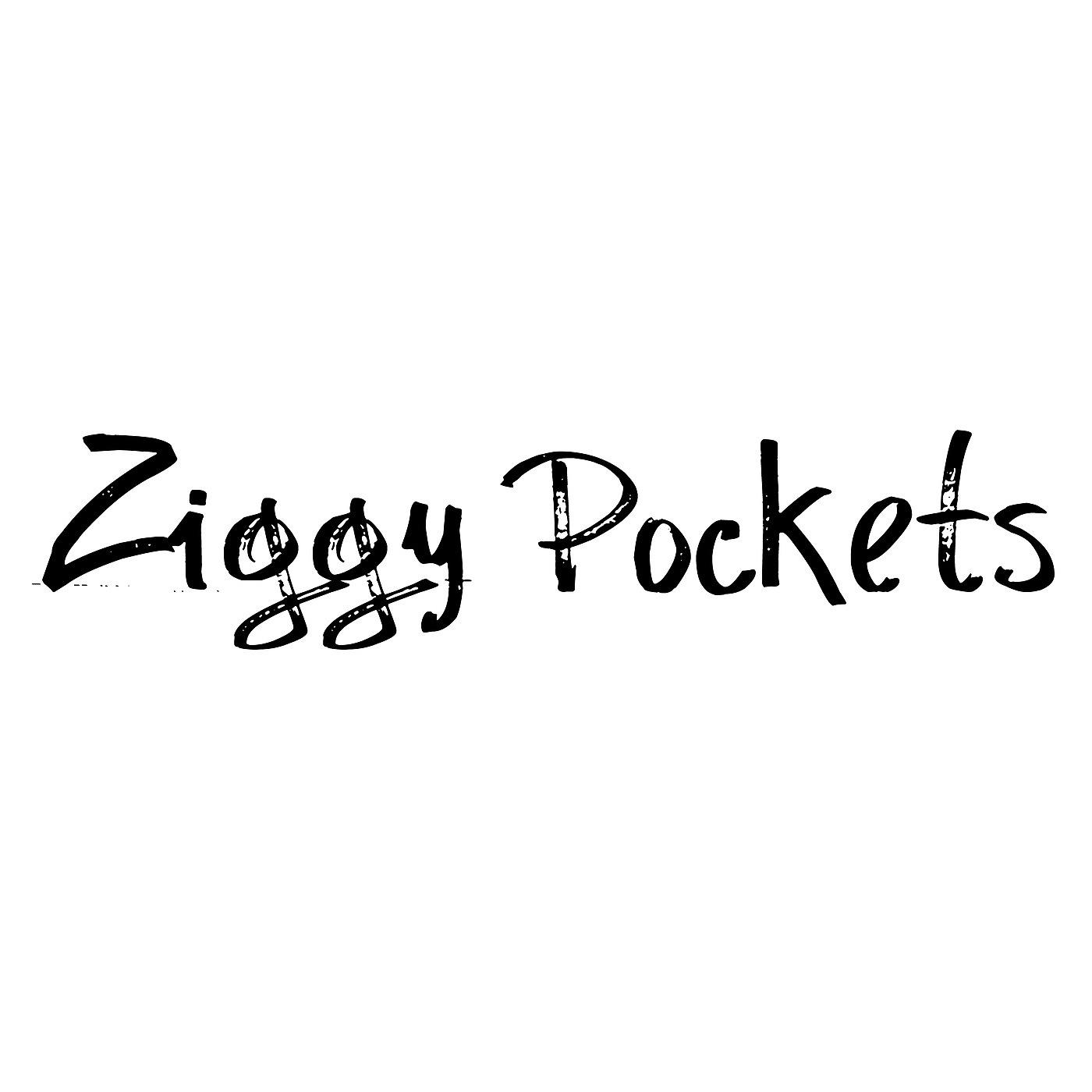 Постер альбома Ziggy Pockets Throw Back Tracks