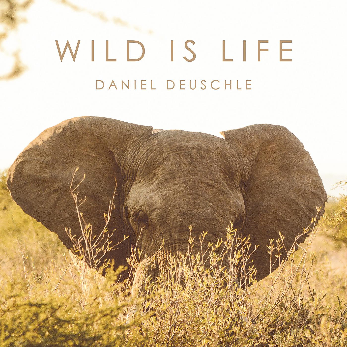 Постер альбома Wild Is Life