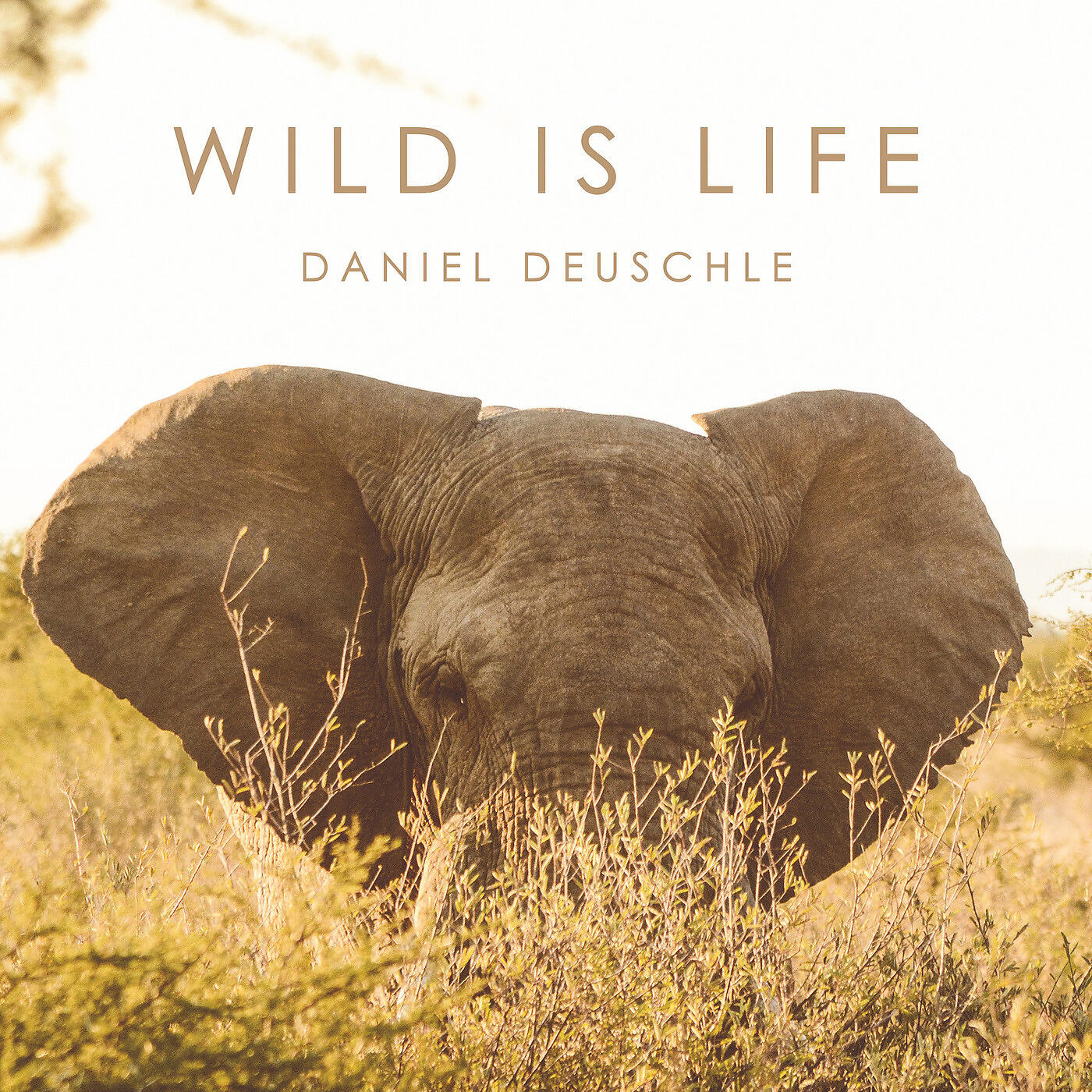 Альбом Wild Is Life исполнителя Daniel Deuschle