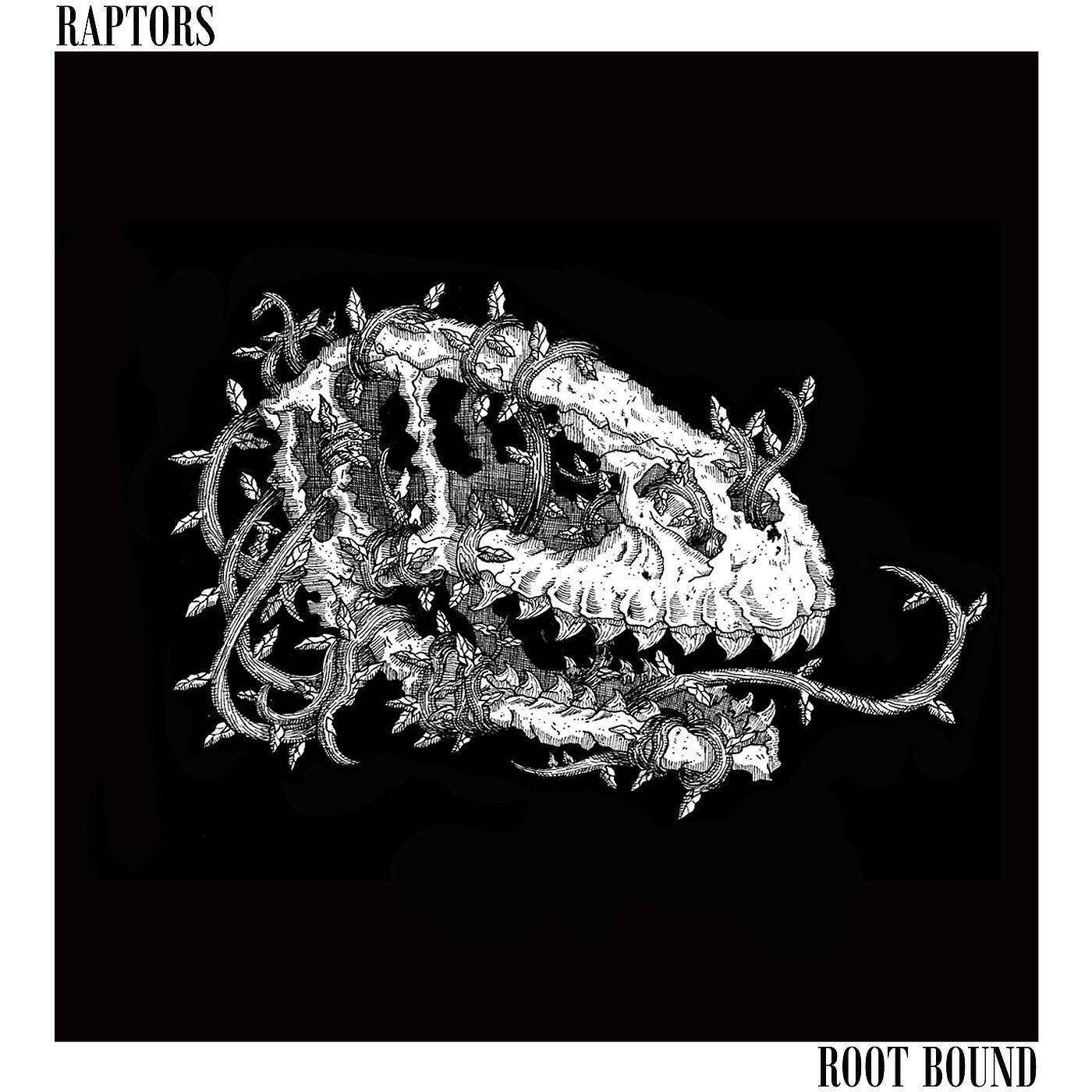 Raptors - Root Bound