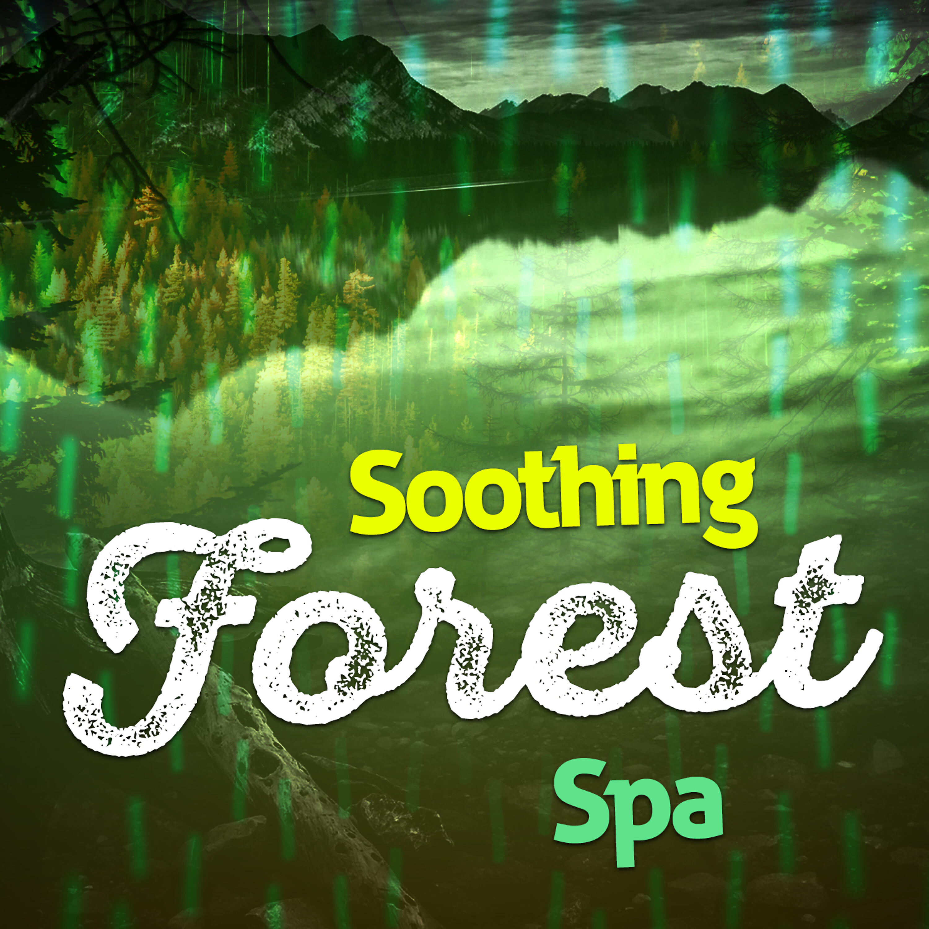 Forest Sounds Relaxing Spa Music Singing Birds - Calm Waterfront