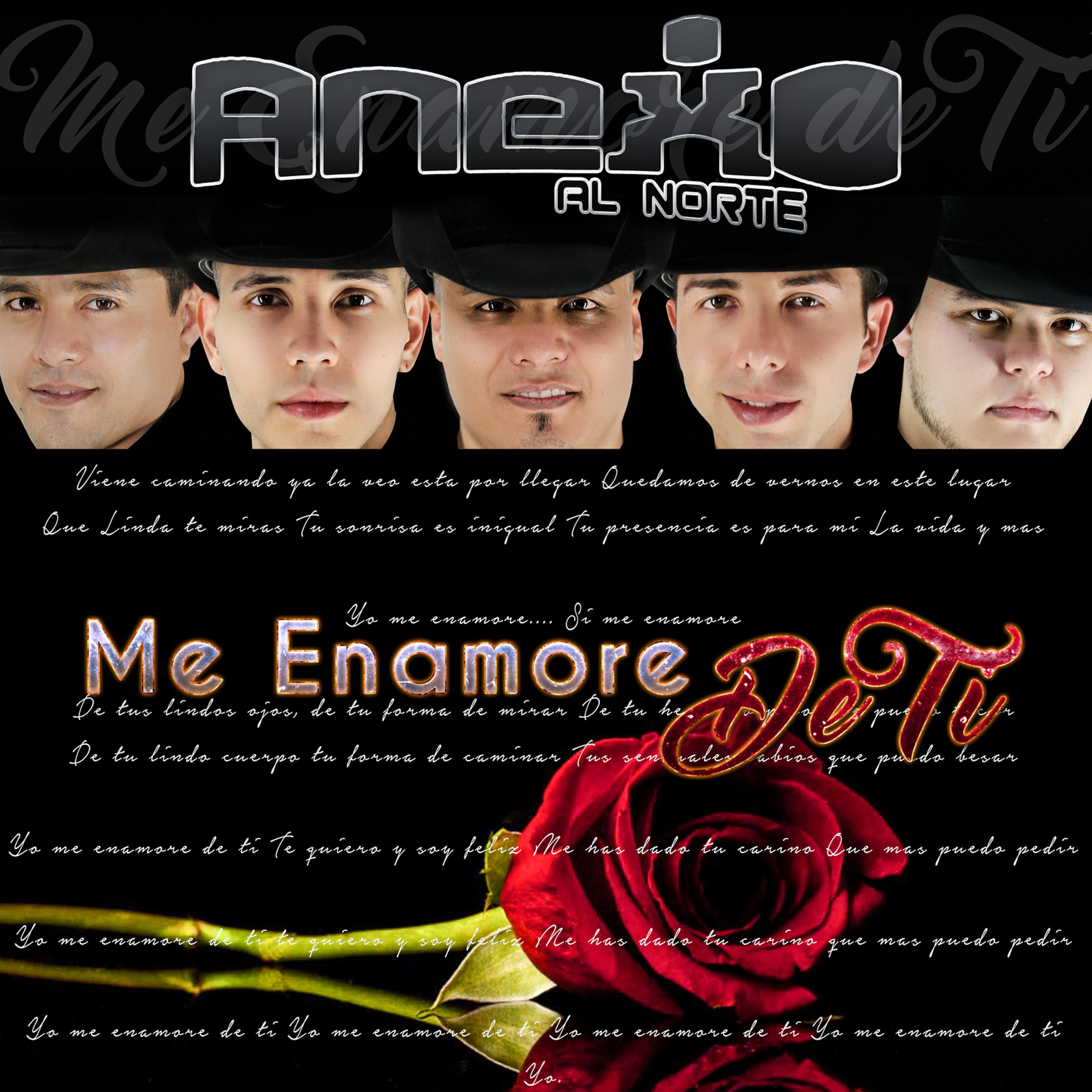Постер альбома Me Enamore de Ti