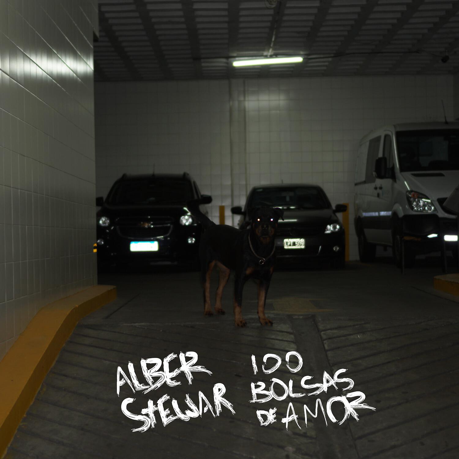 Alber Stewar - 100 Bolsas de Amor