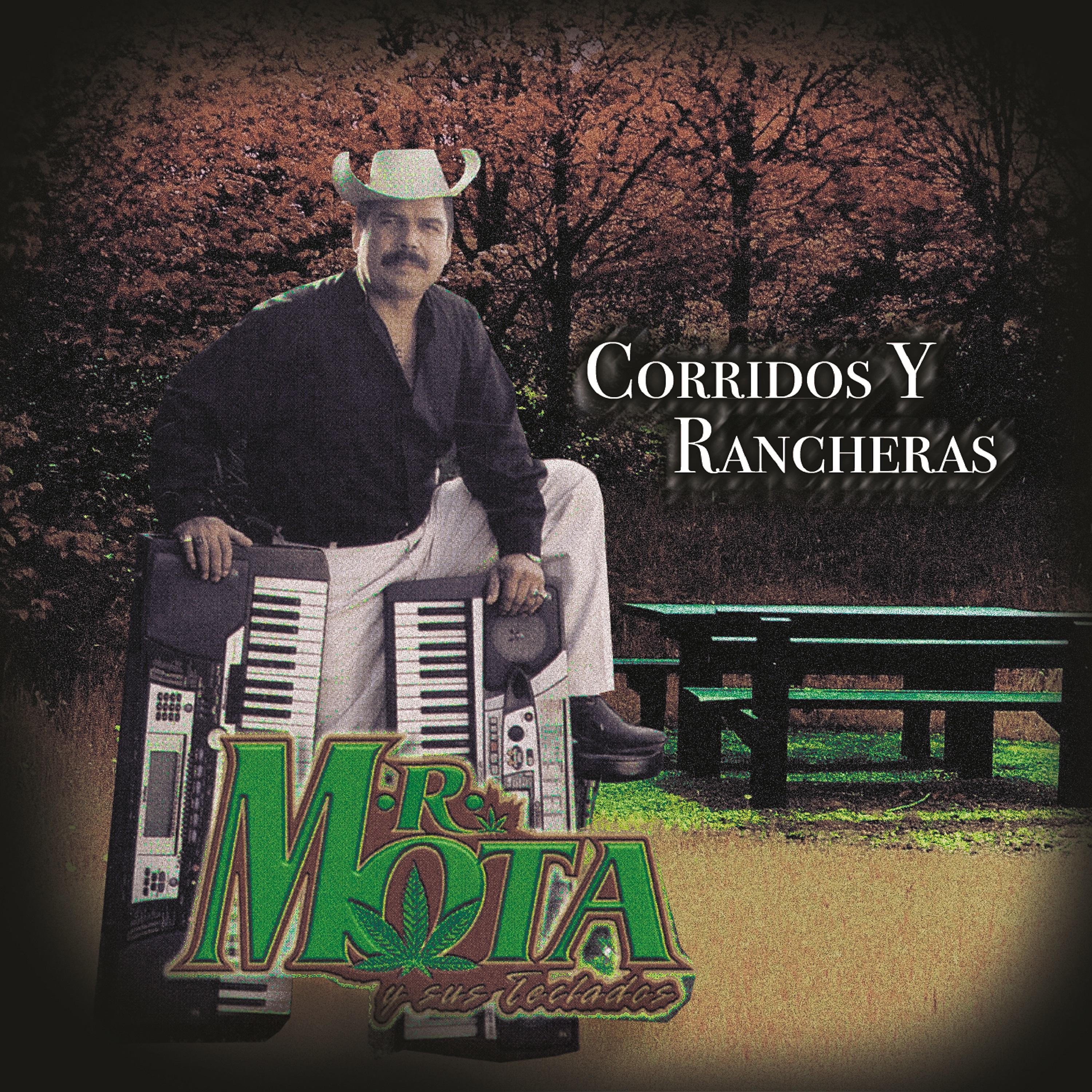 Постер альбома Corridos y Rancheras