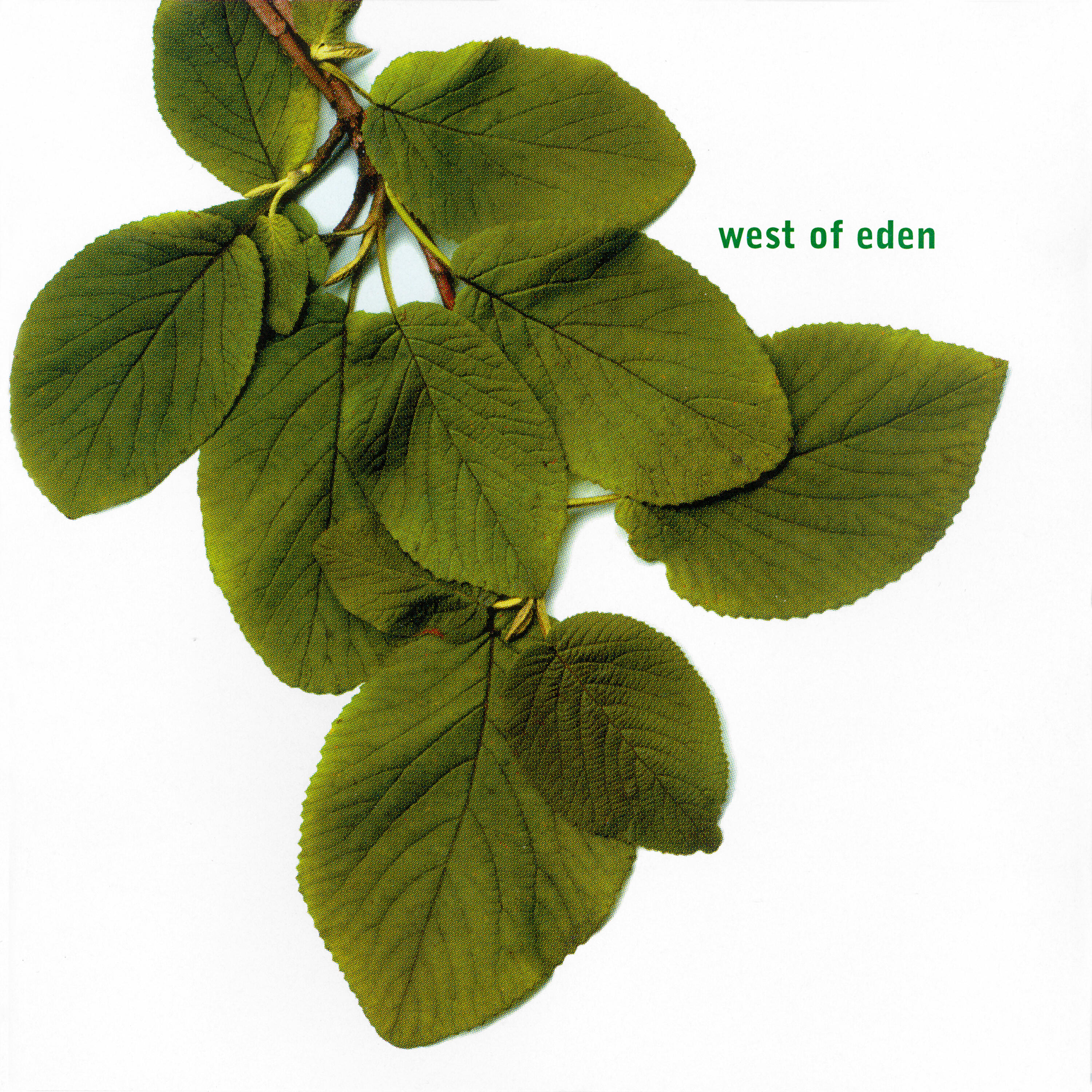 West Of Eden - Ripperton Road