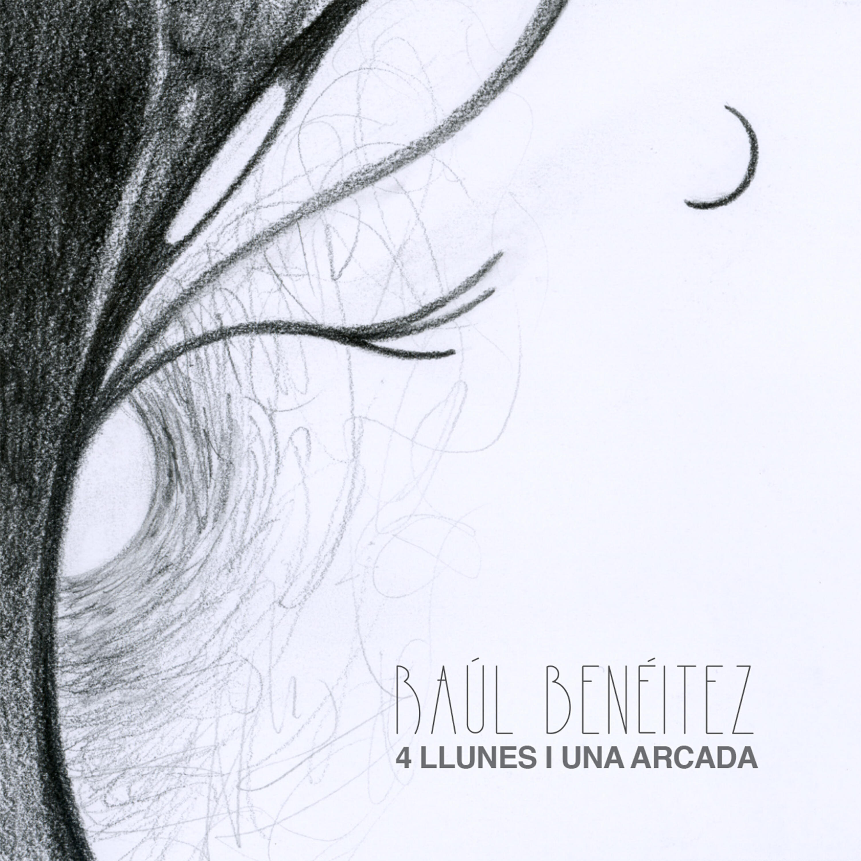 Raül Benéitez - La cambra buida