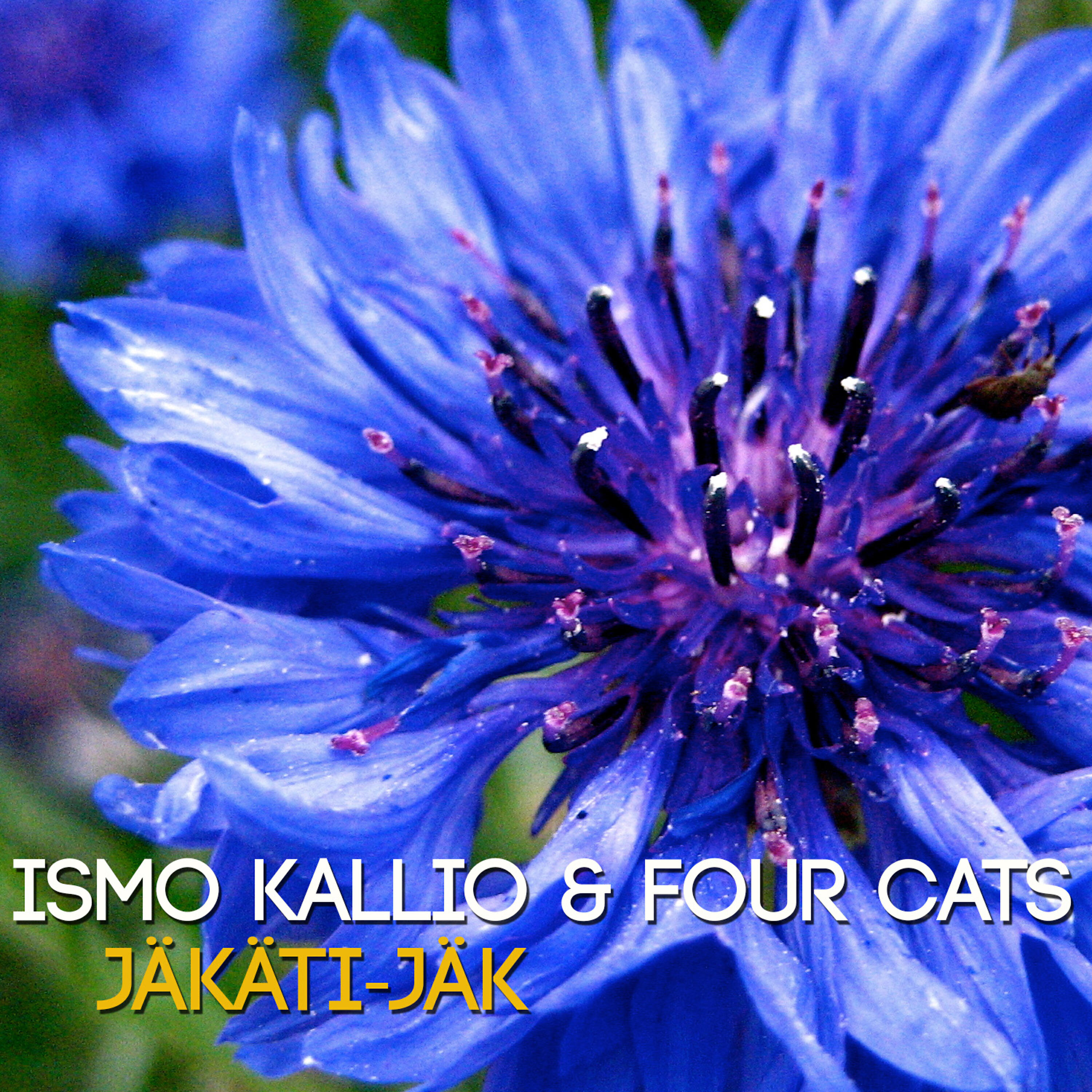 Ismo Kallio - Jäkäti-Jäk