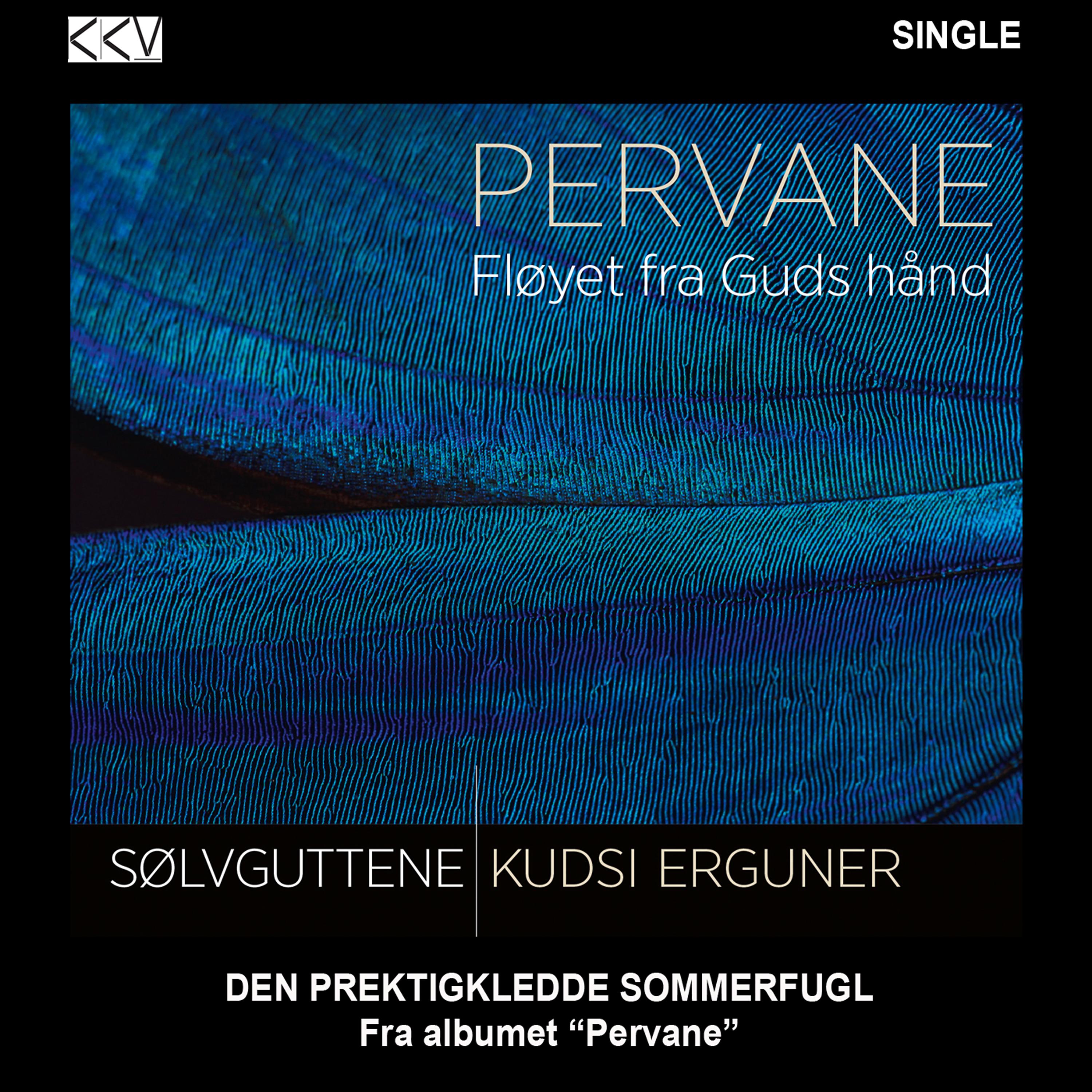 Постер альбома Den Prektigkledde Sommerfugl