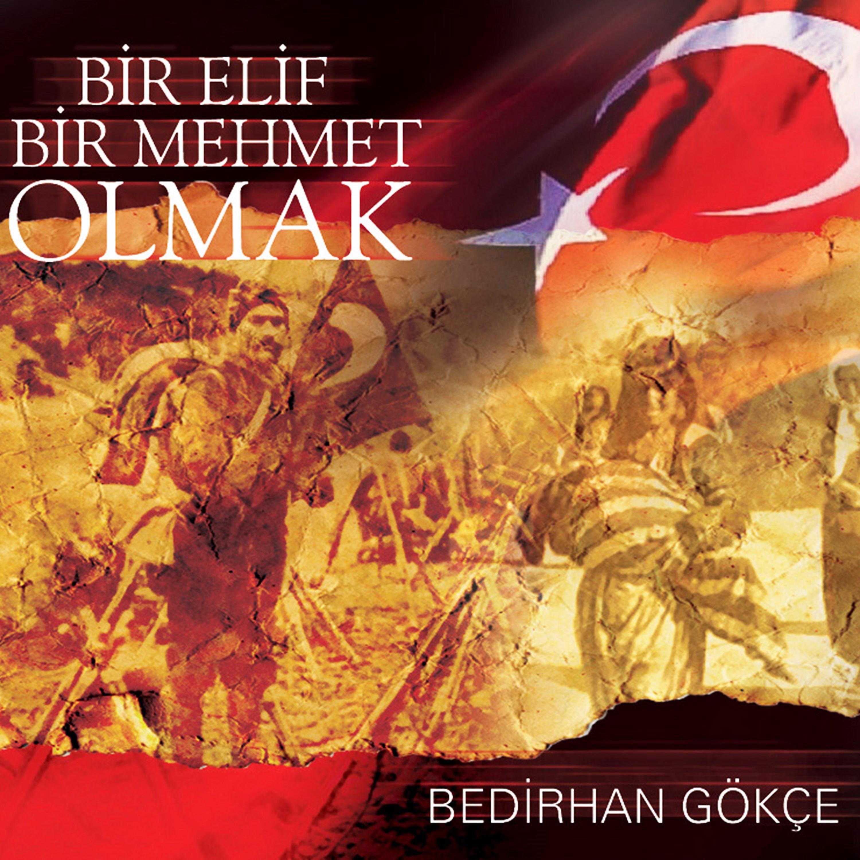 Постер альбома Bir Elif Bir Mehmet Olmak