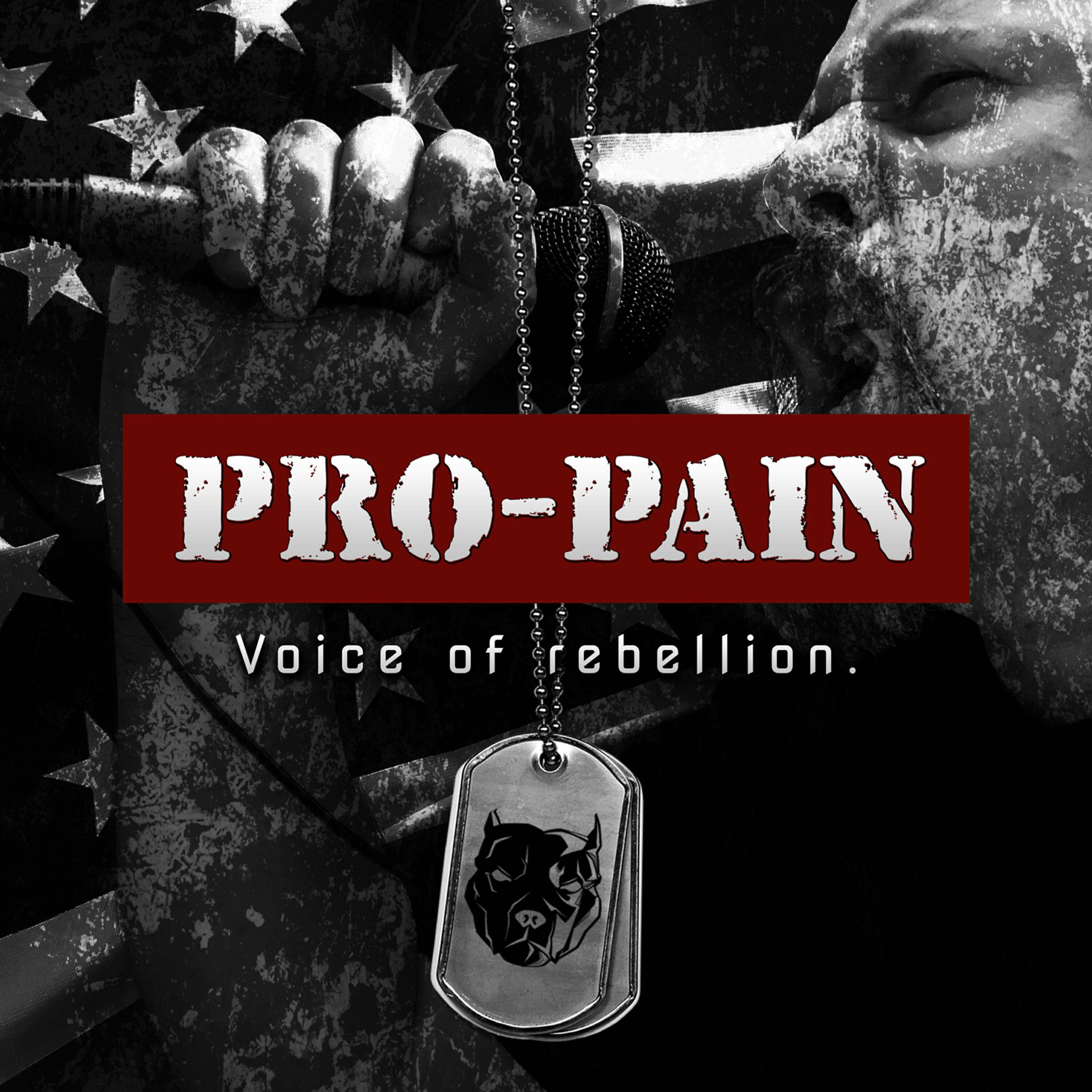 Pro-Pain - Age of Disgust