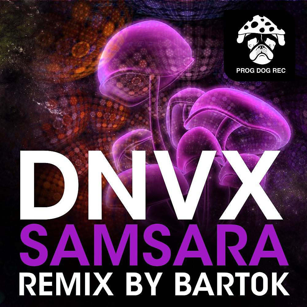 Постер альбома Samsara (Bart0K Remix)