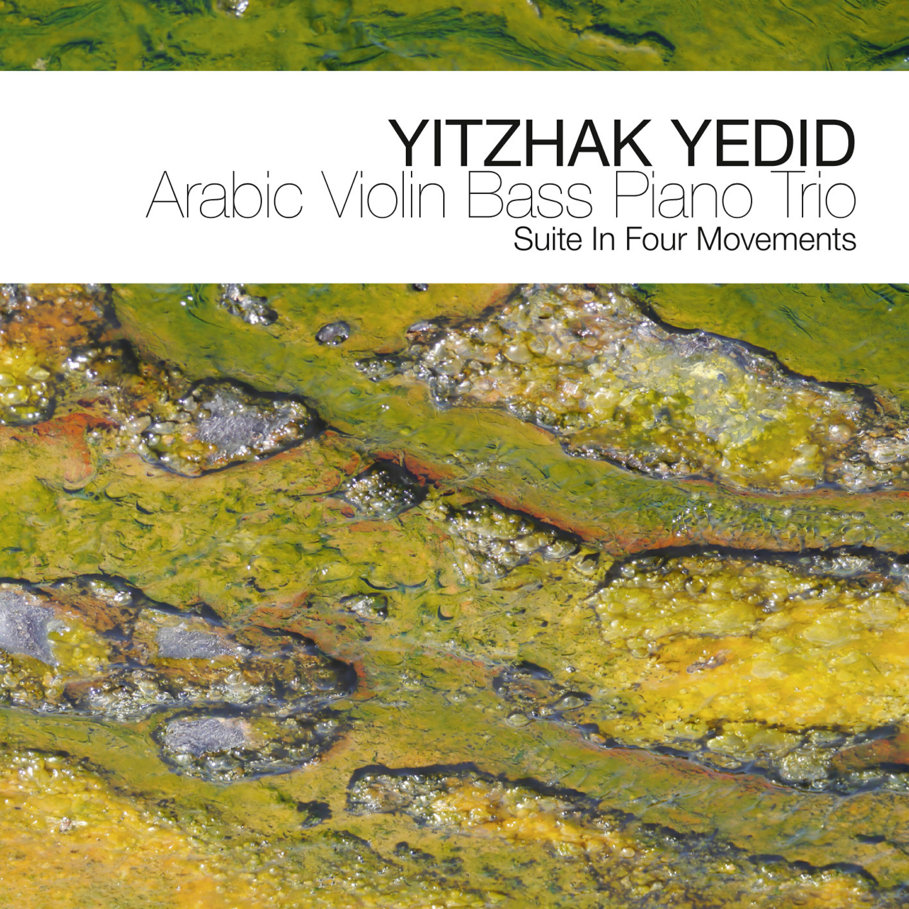 Yitzhak Yedid - Fourth Movement: The Image of the Old Man from the First Movement