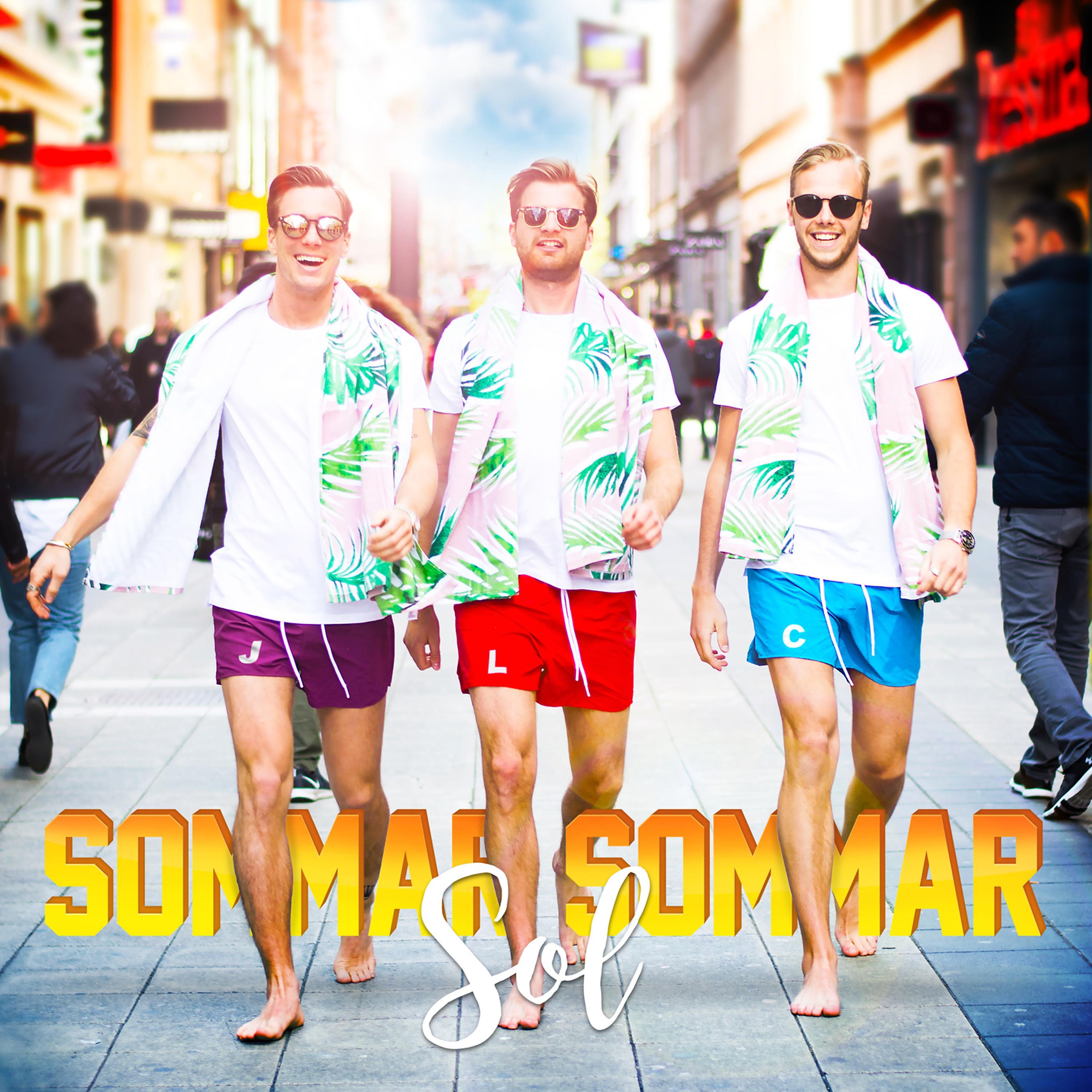 Постер альбома Sommar sommar sol