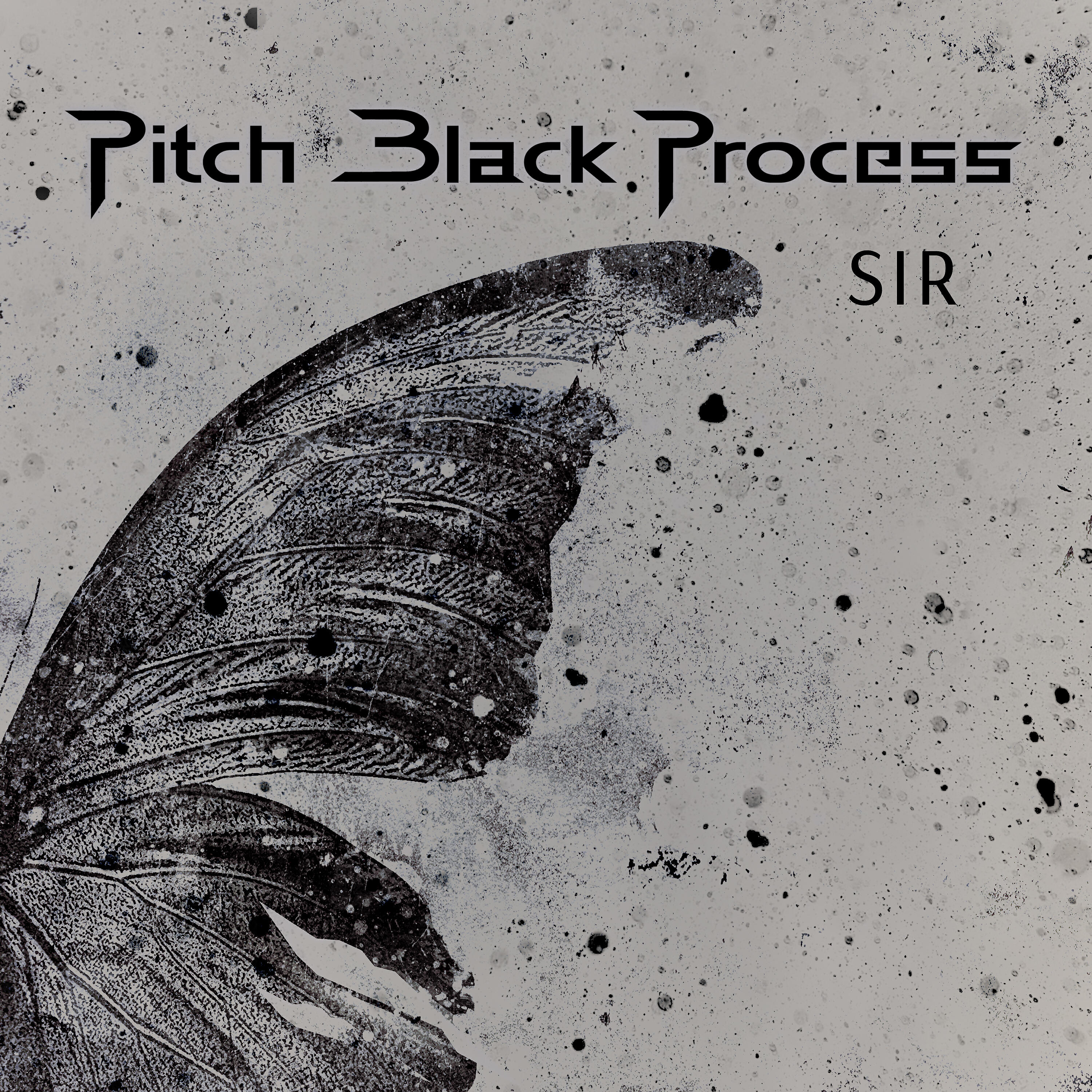 Pitch Black Process - Zahid Bizi Tan Eyleme
