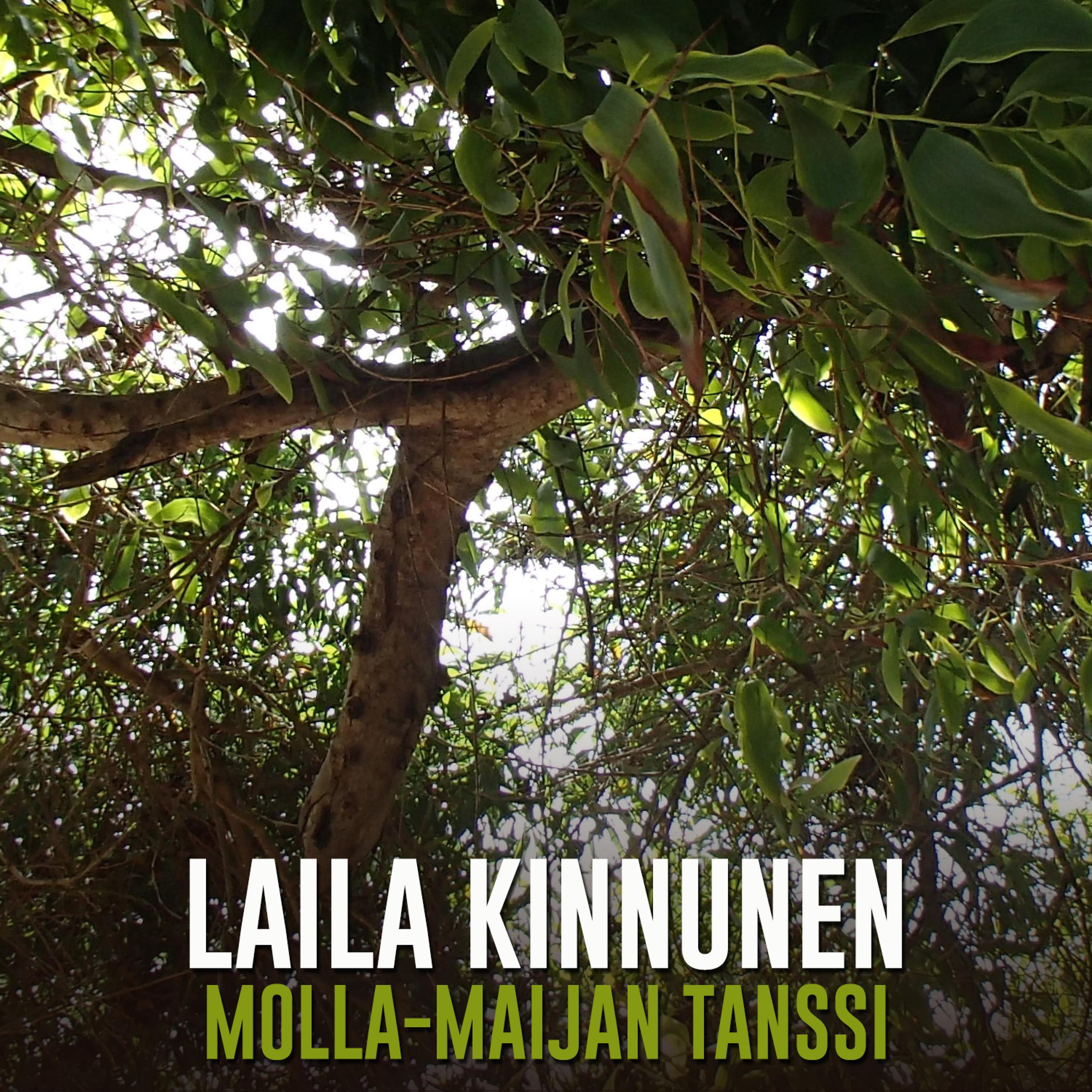 Постер альбома Molla-Maijan Tanssi