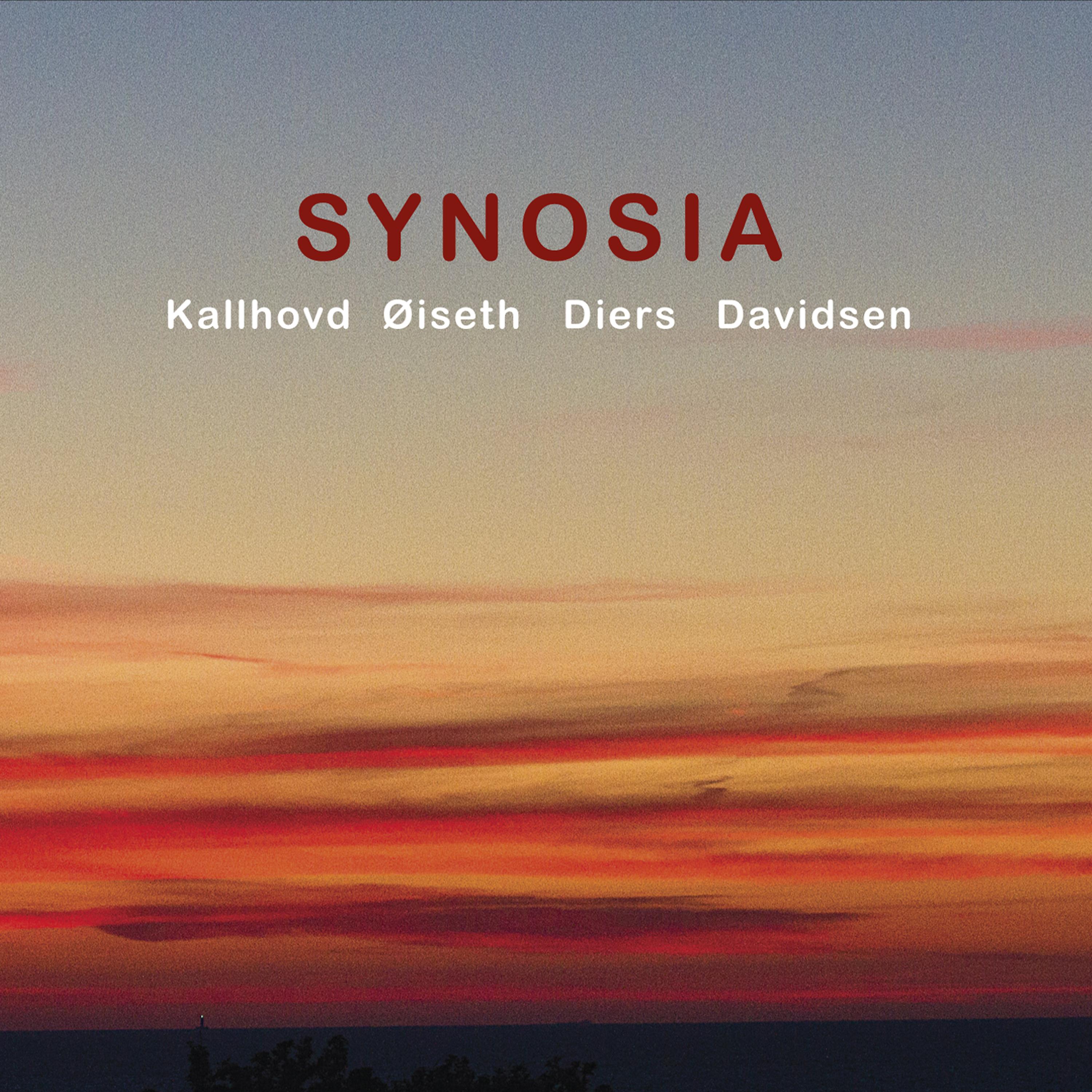 Постер альбома Synosia